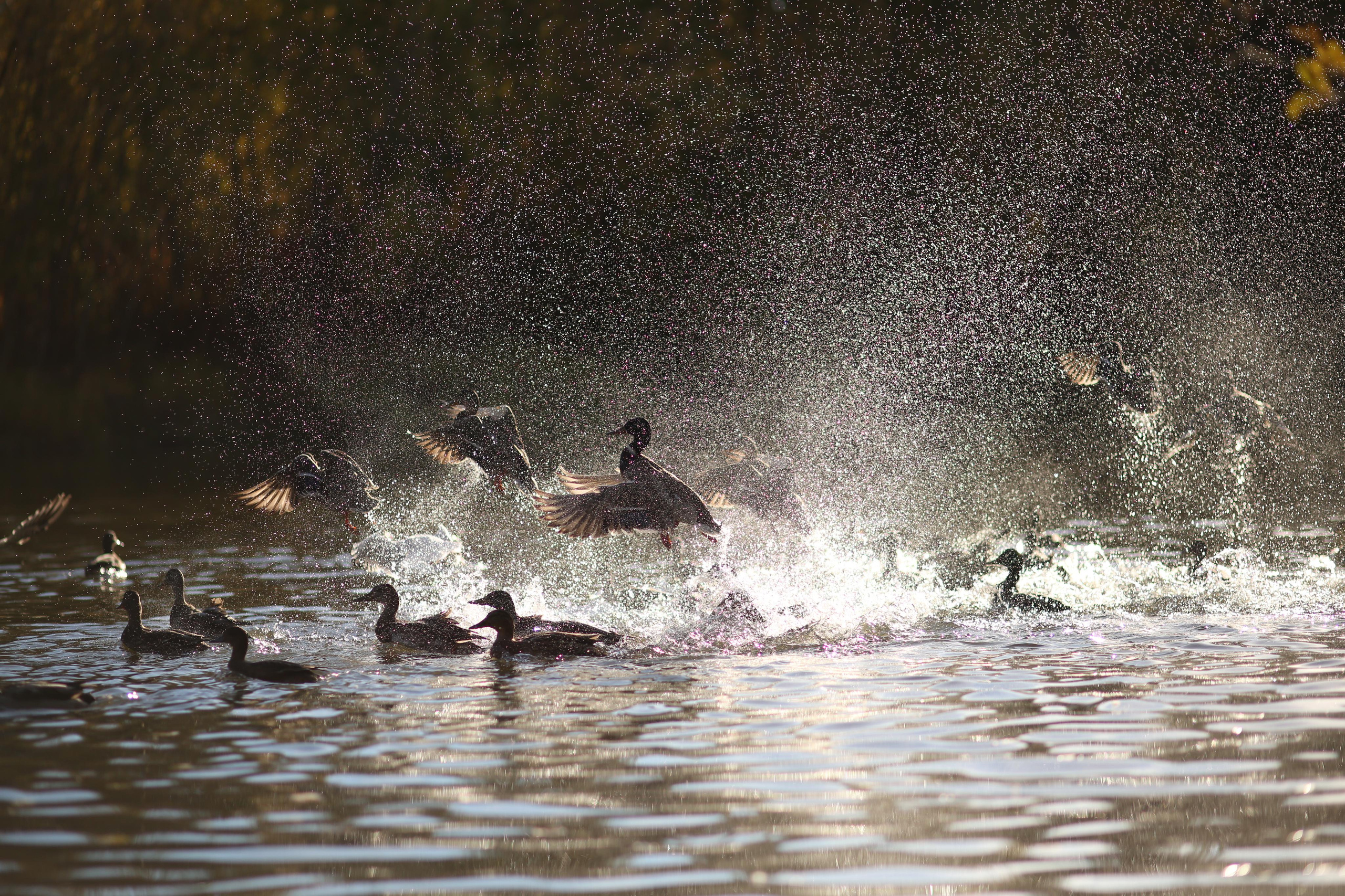 Сургут. Фотограф в г. Сургуте Марина Киприна