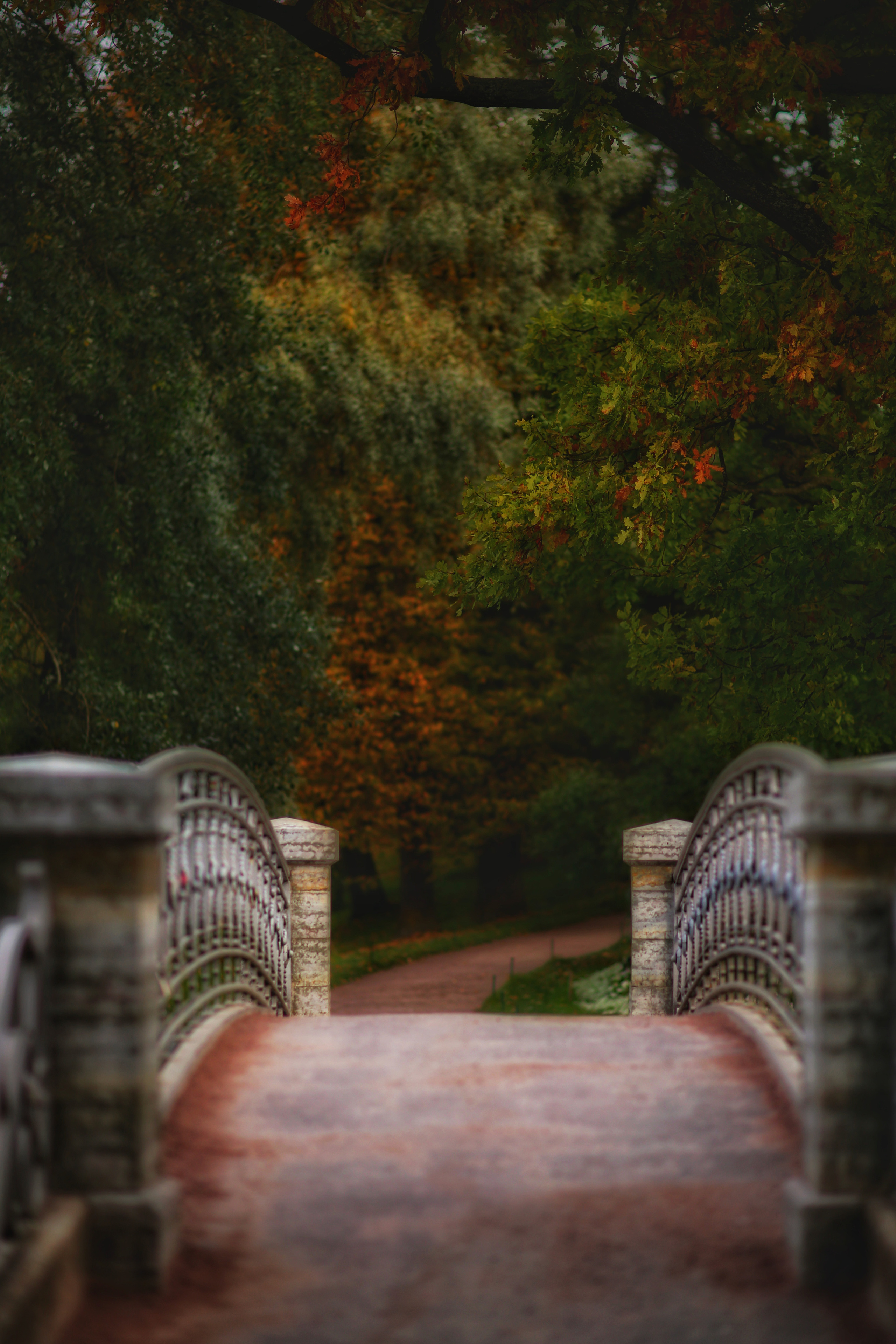 Гатчина. Фотограф в г. Сургуте Марина Киприна