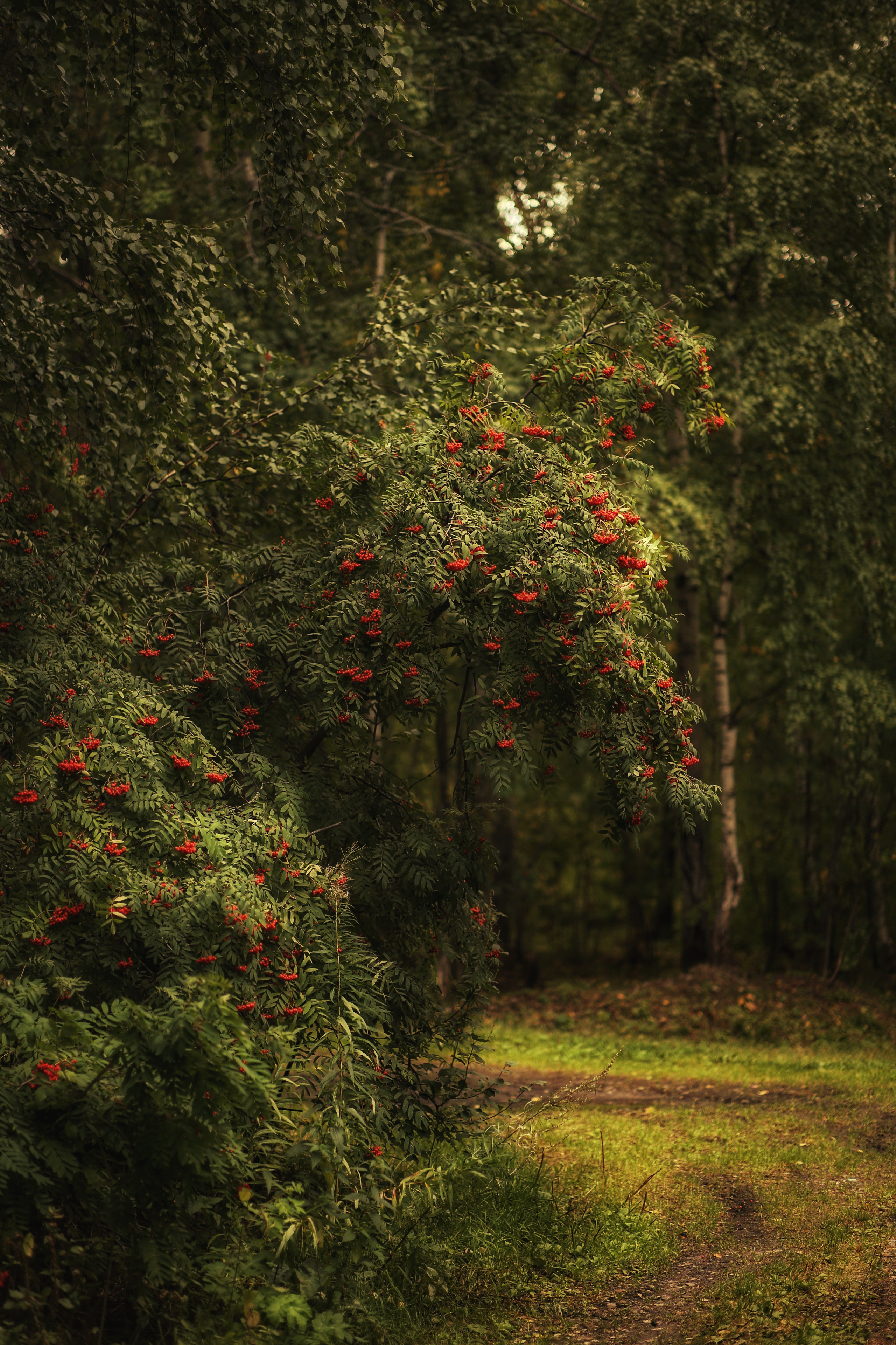 Сургут. Фотограф в г. Сургуте Марина Киприна