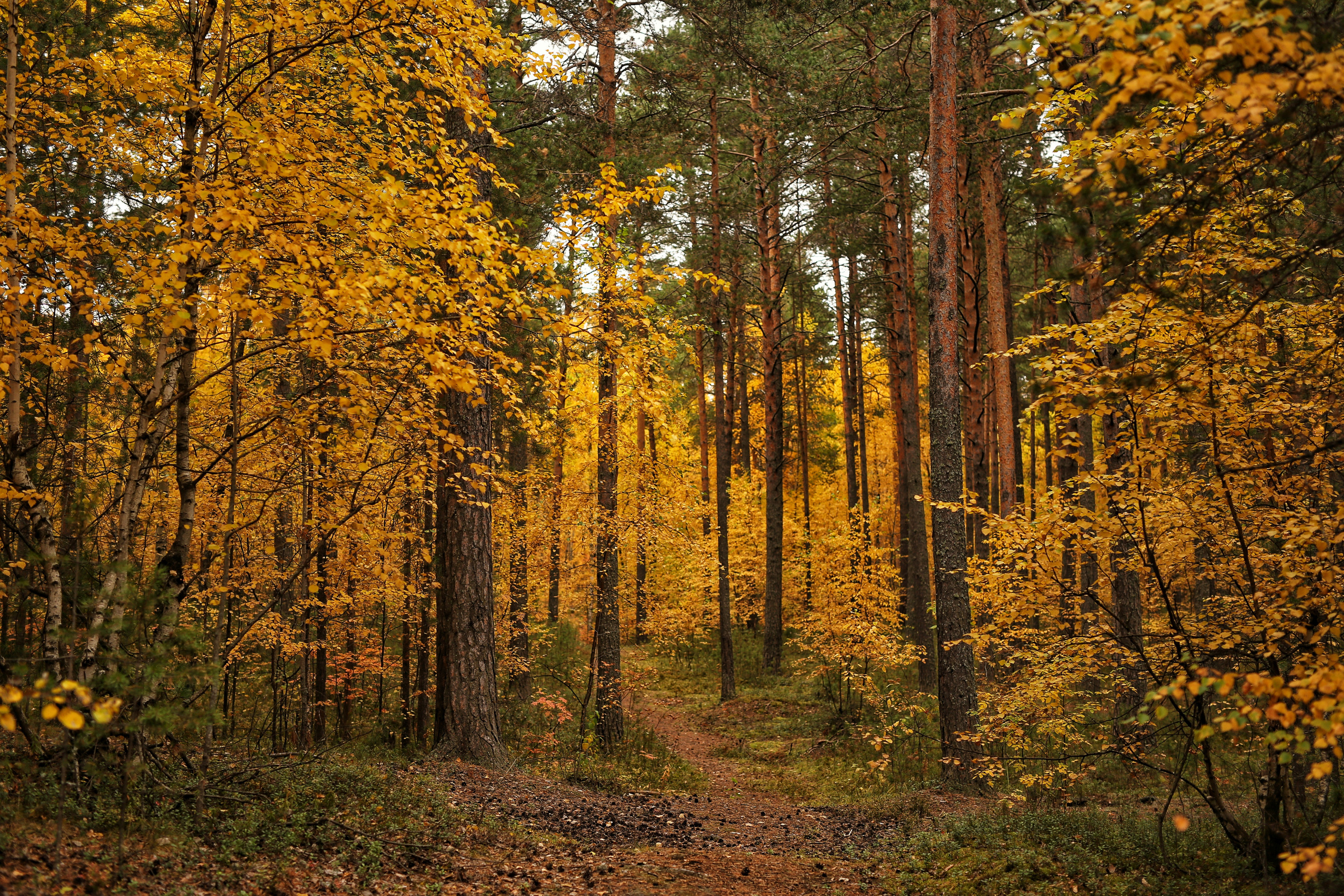 Сургут. Фотограф в г. Сургуте Марина Киприна