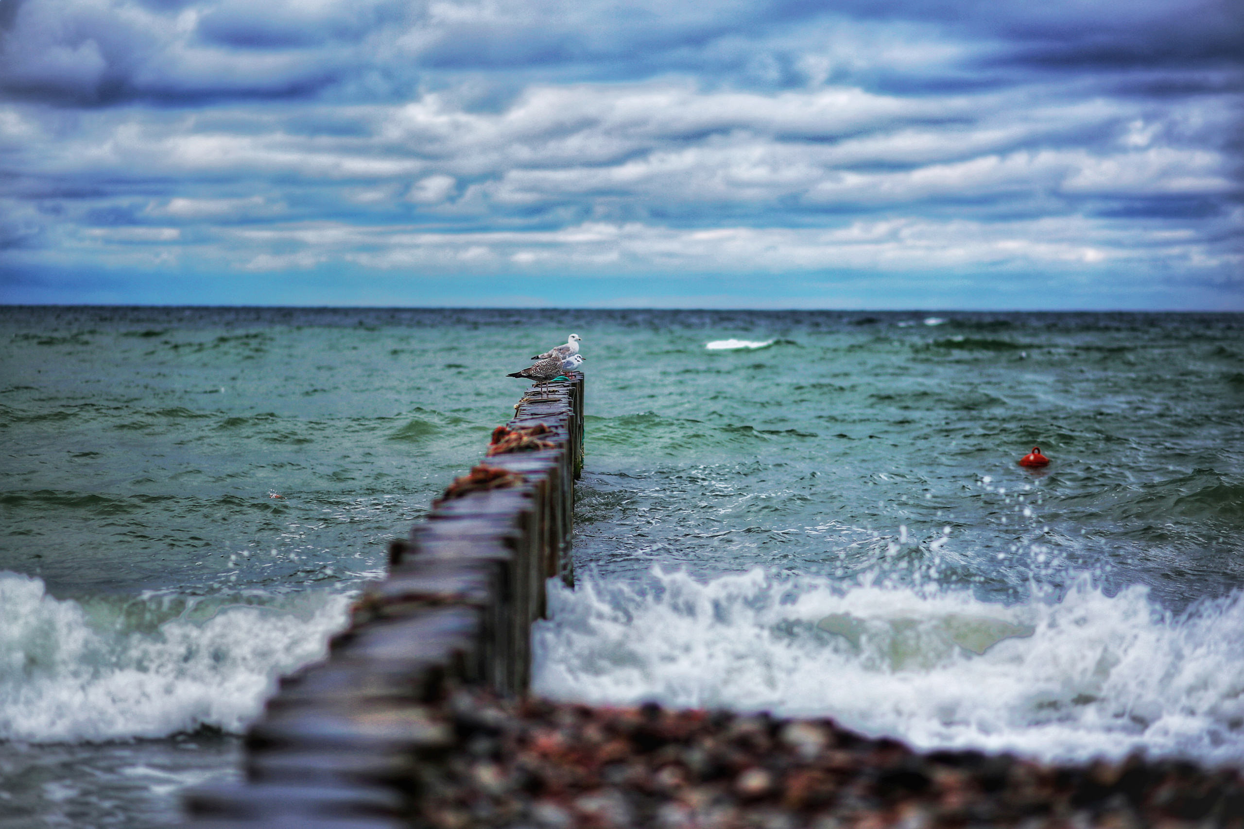 Калининград. Фотограф в г. Сургуте Марина Киприна