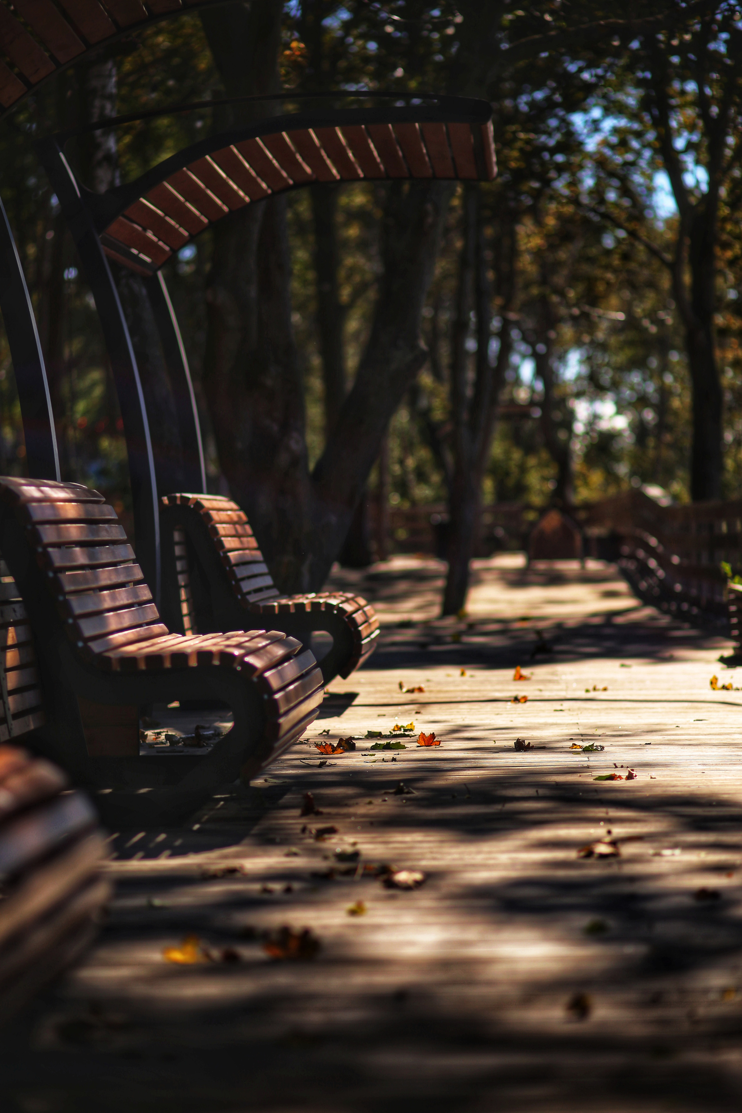 Калининград. Фотограф в г. Сургуте Марина Киприна