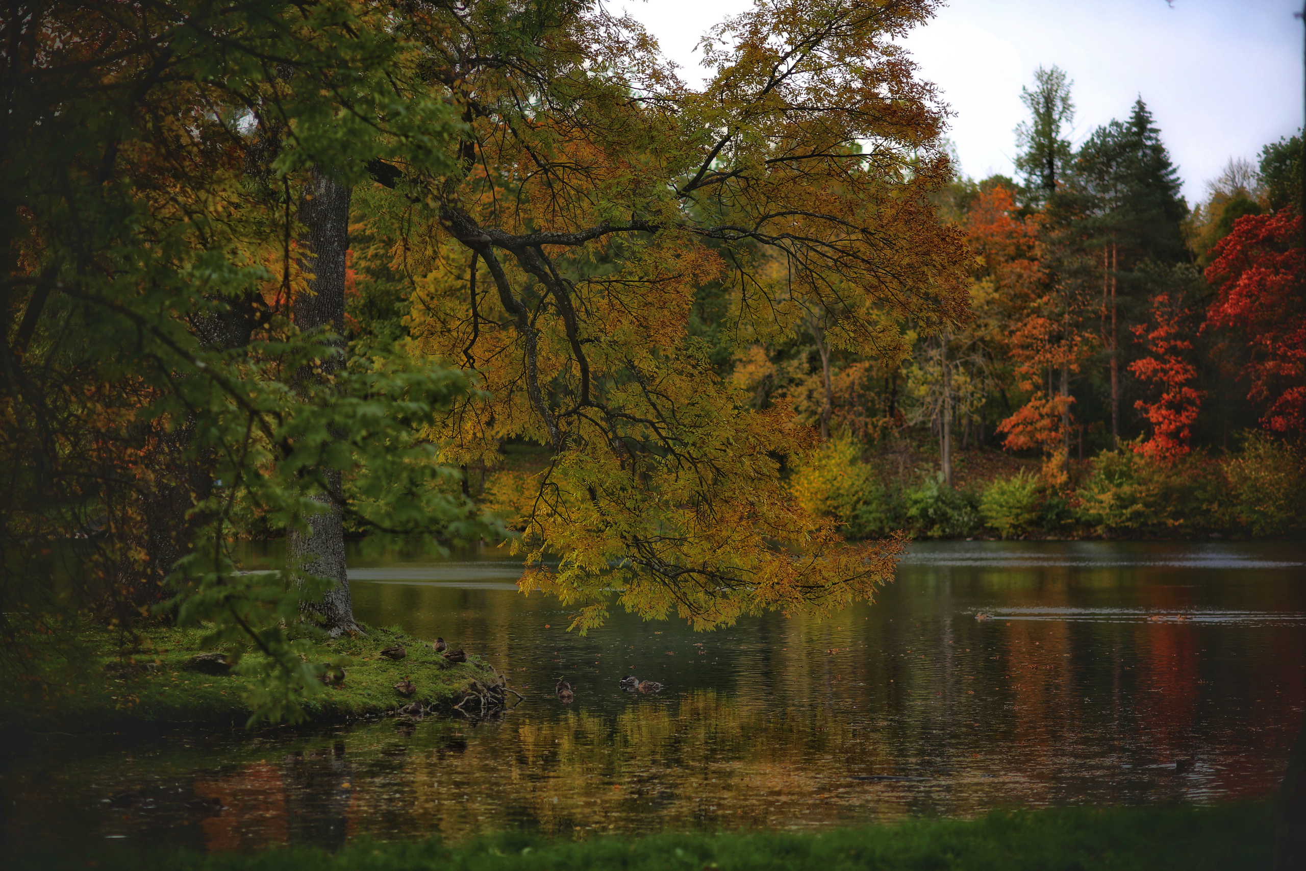 Гатчина. Фотограф в г. Сургуте Марина Киприна