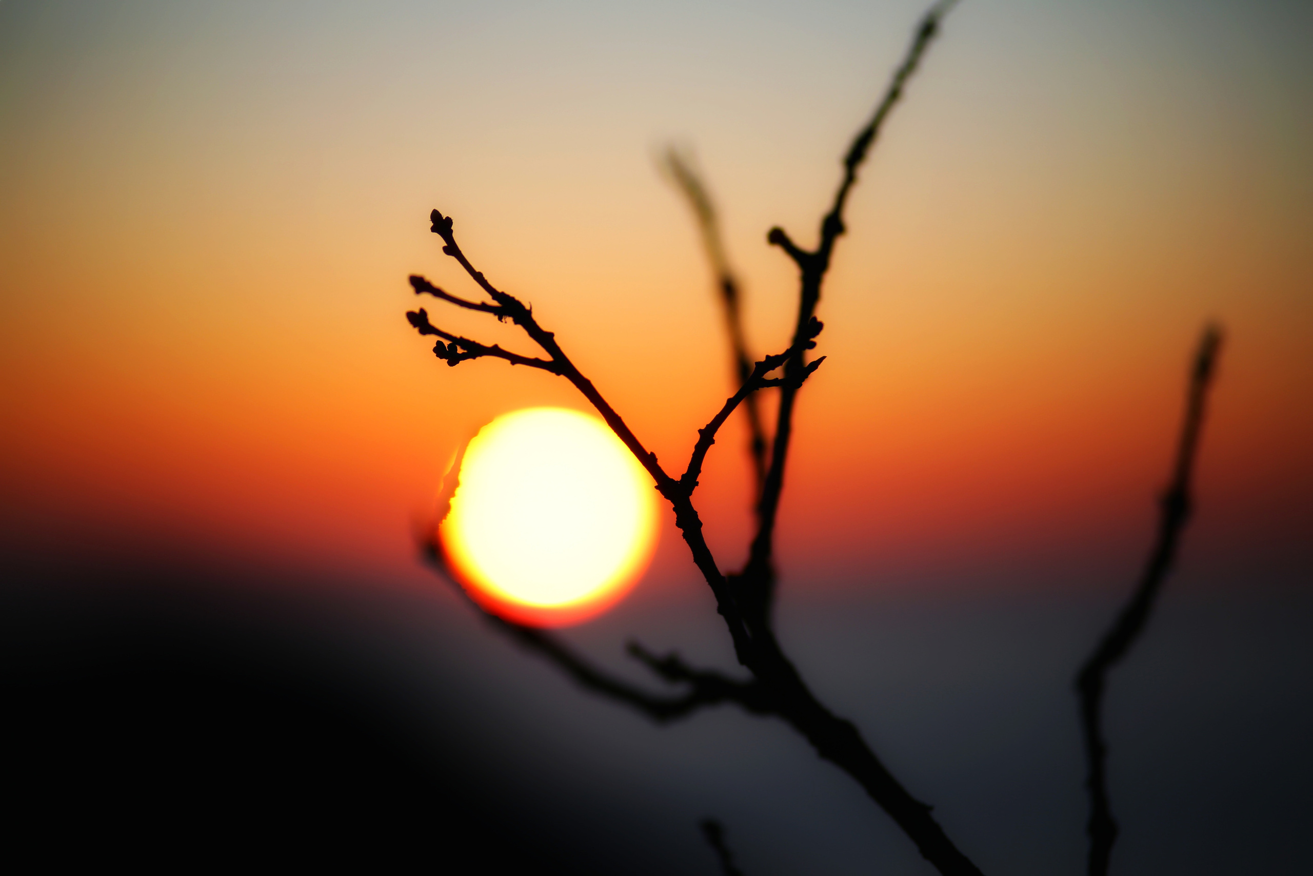 Крым. Фотограф в г. Сургуте Марина Киприна