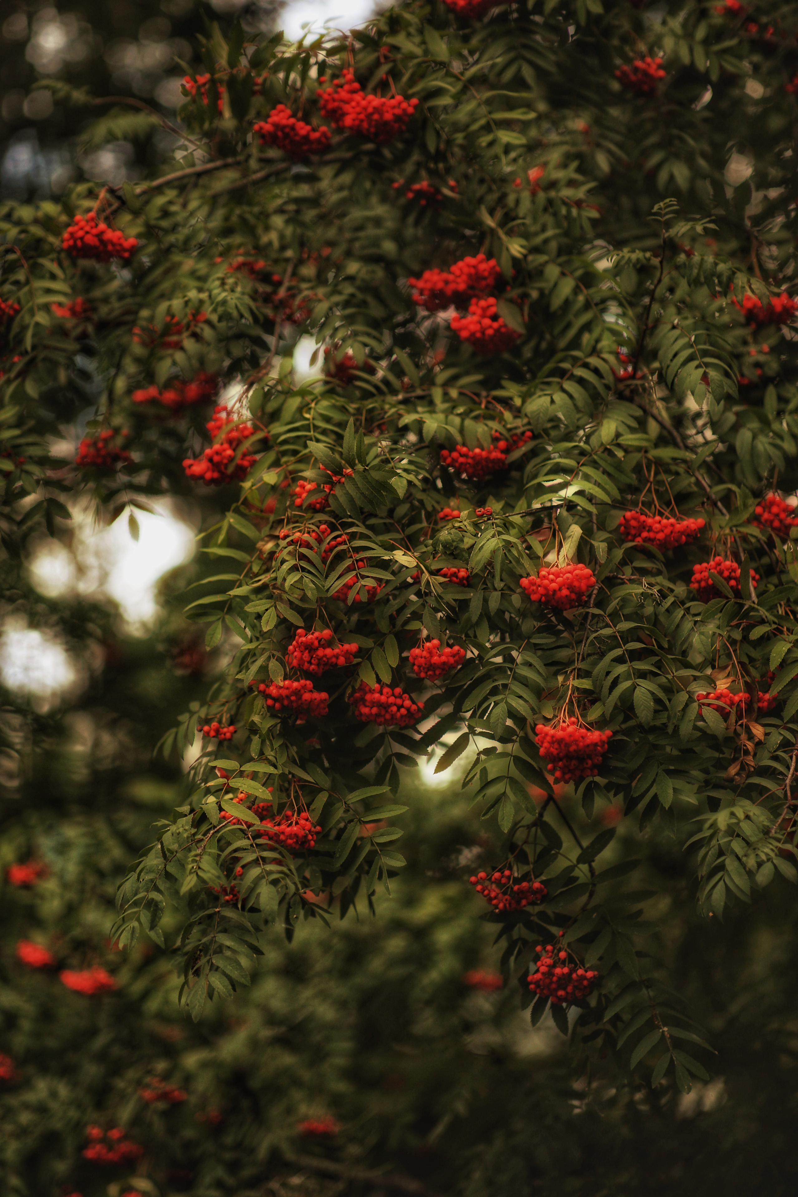 Сургут. Фотограф в г. Сургуте Марина Киприна