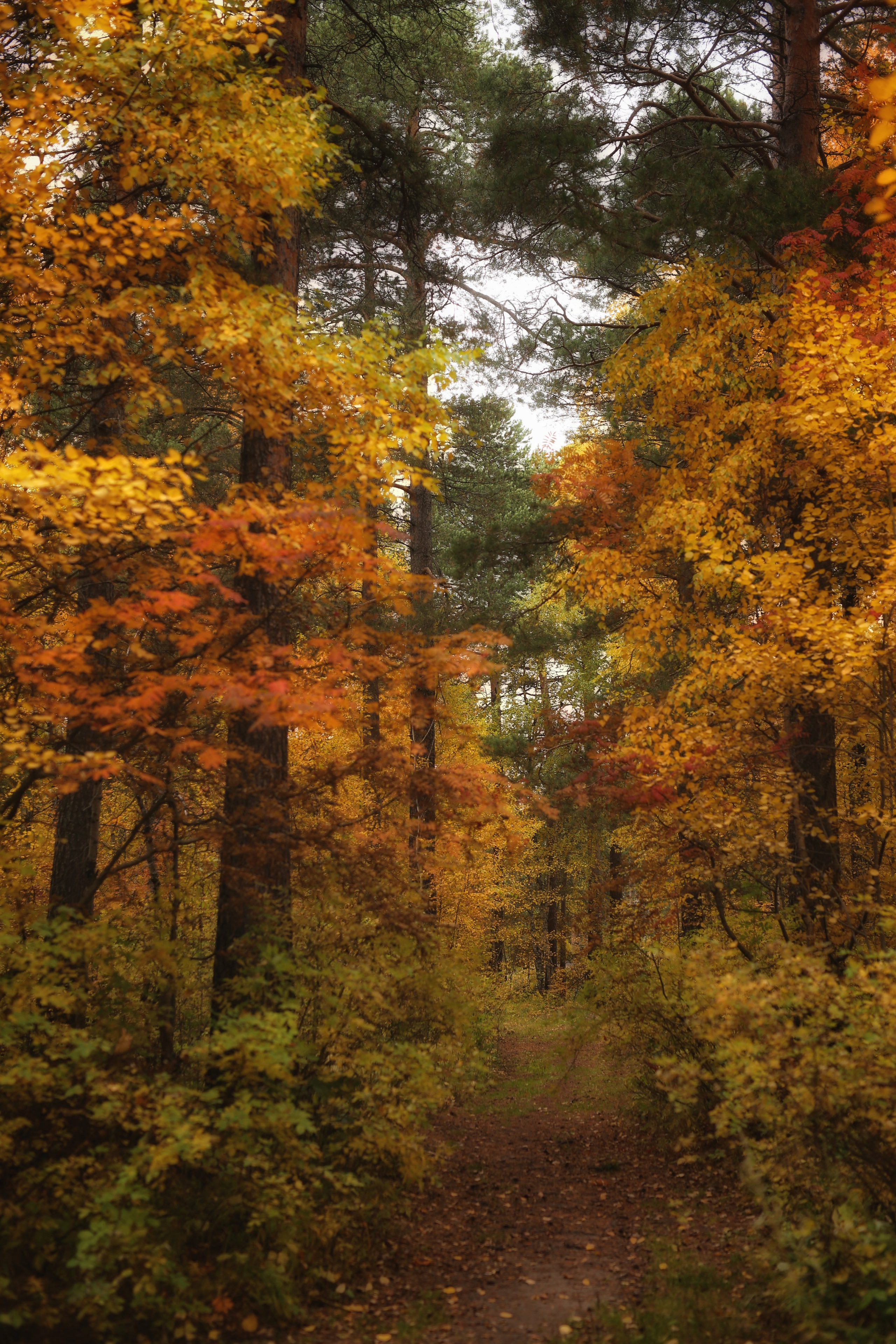 Сургут. Фотограф в г. Сургуте Марина Киприна