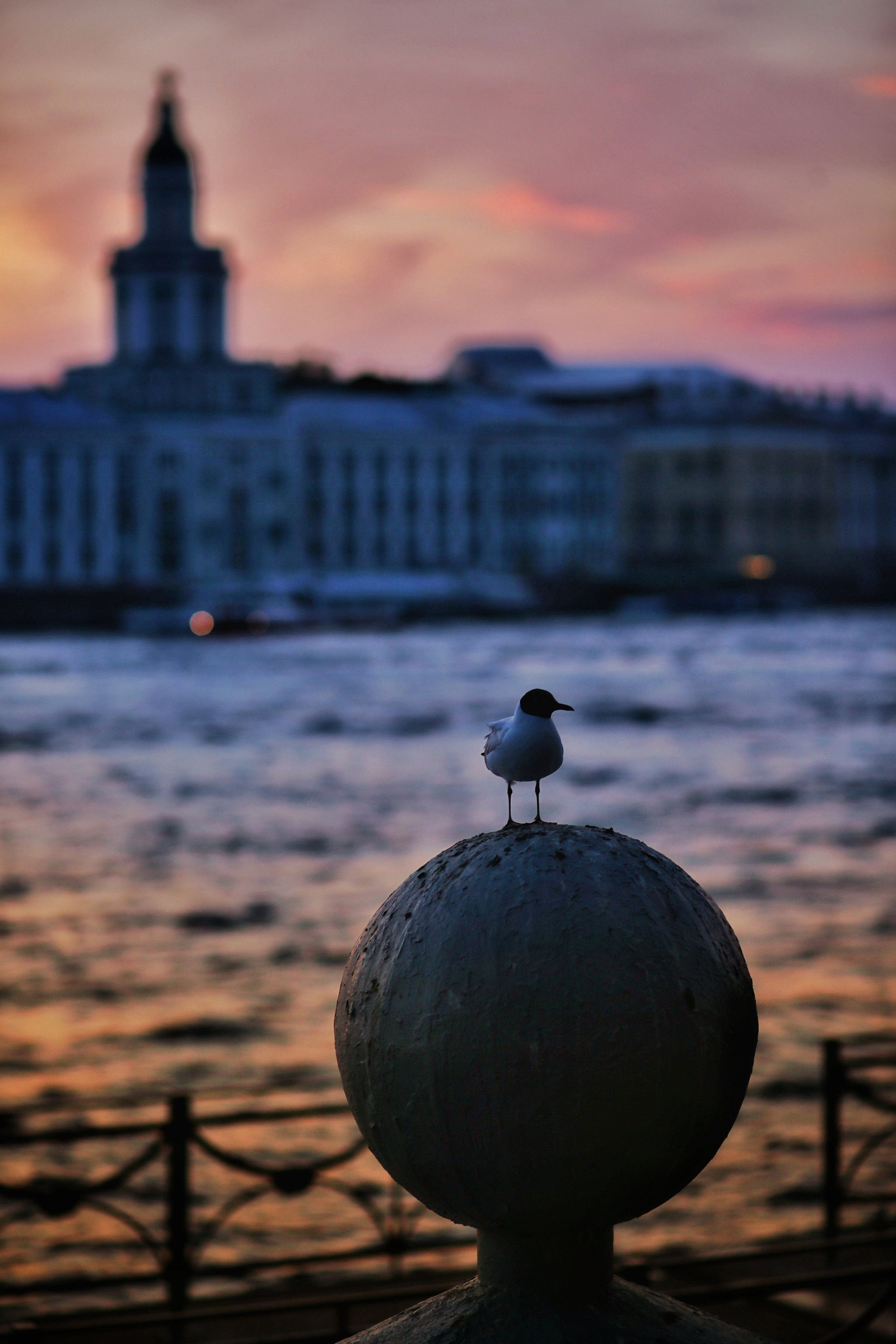 Санкт — Петербург. Фотограф в г. Сургуте Марина Киприна