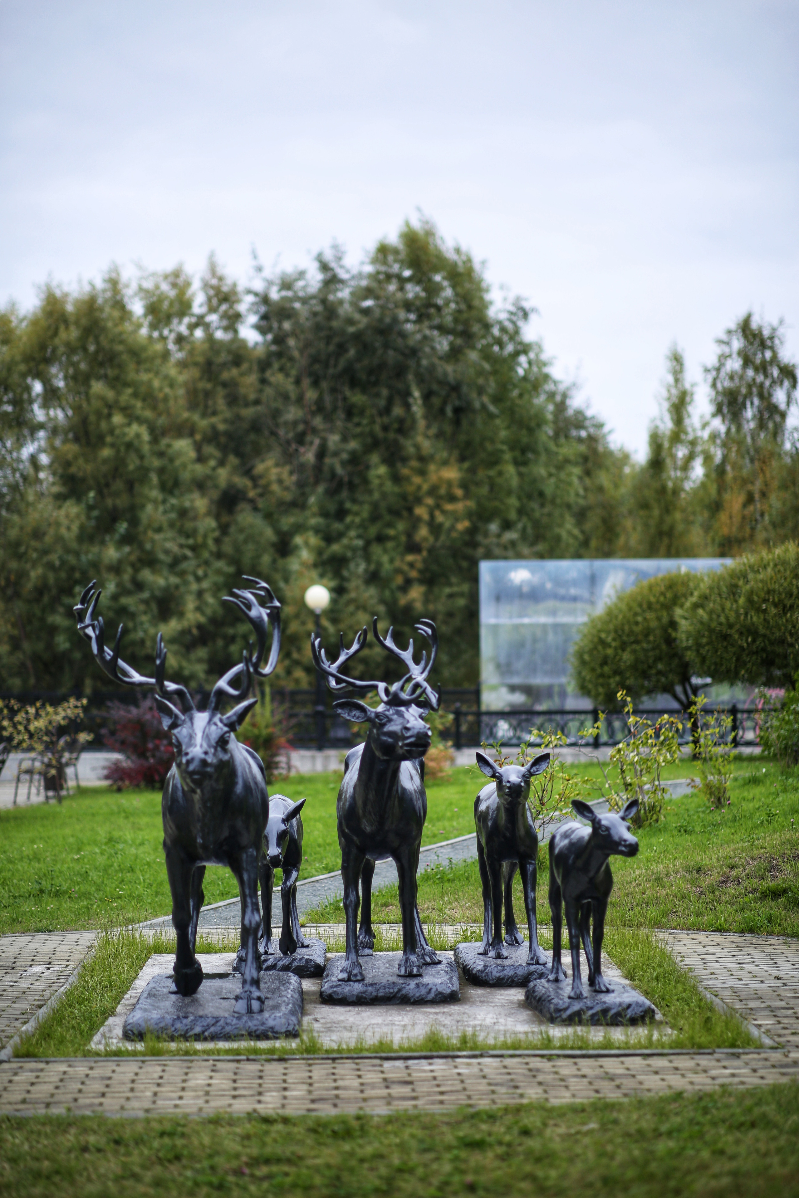 Сургут. Фотограф в г. Сургуте Марина Киприна