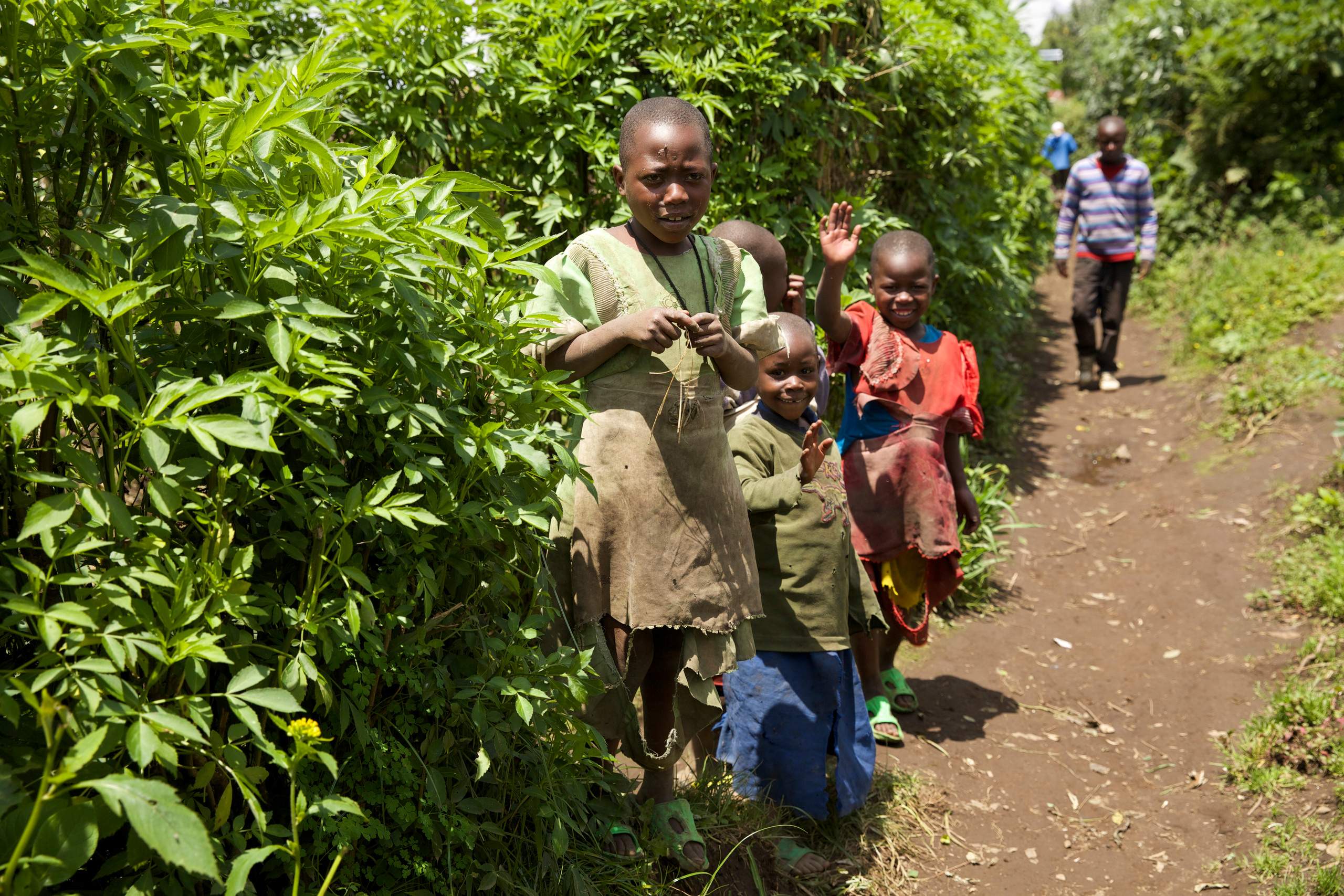 Руанда. Portrait