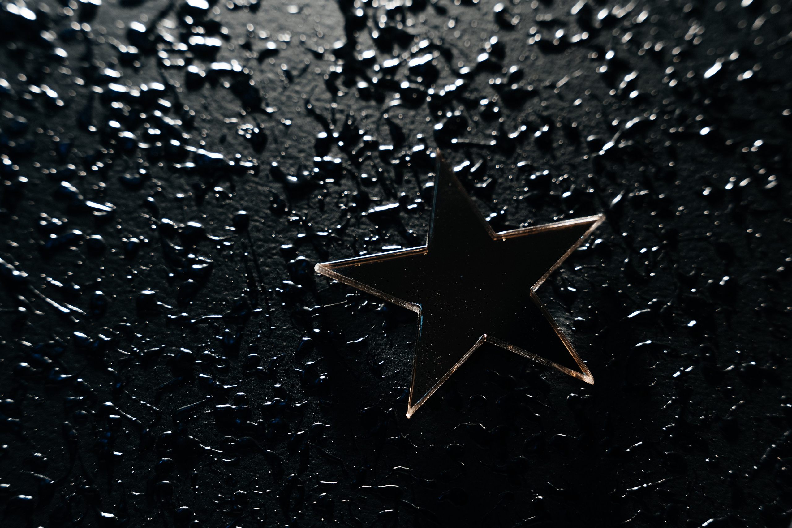 GENDER PARTY. Фотограф Кирилл Бабий