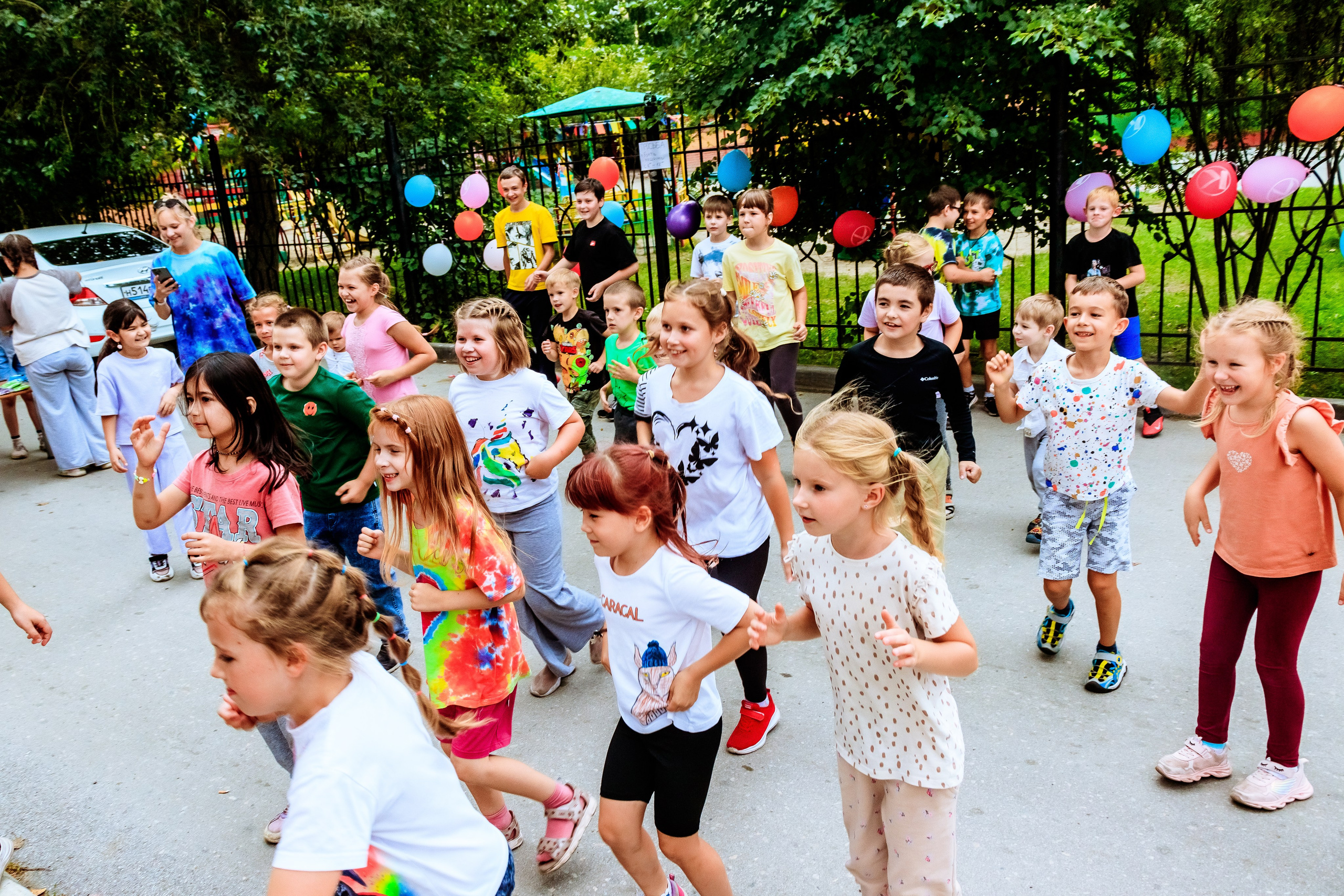 Краски Холли. Фотограф — Новосибирск