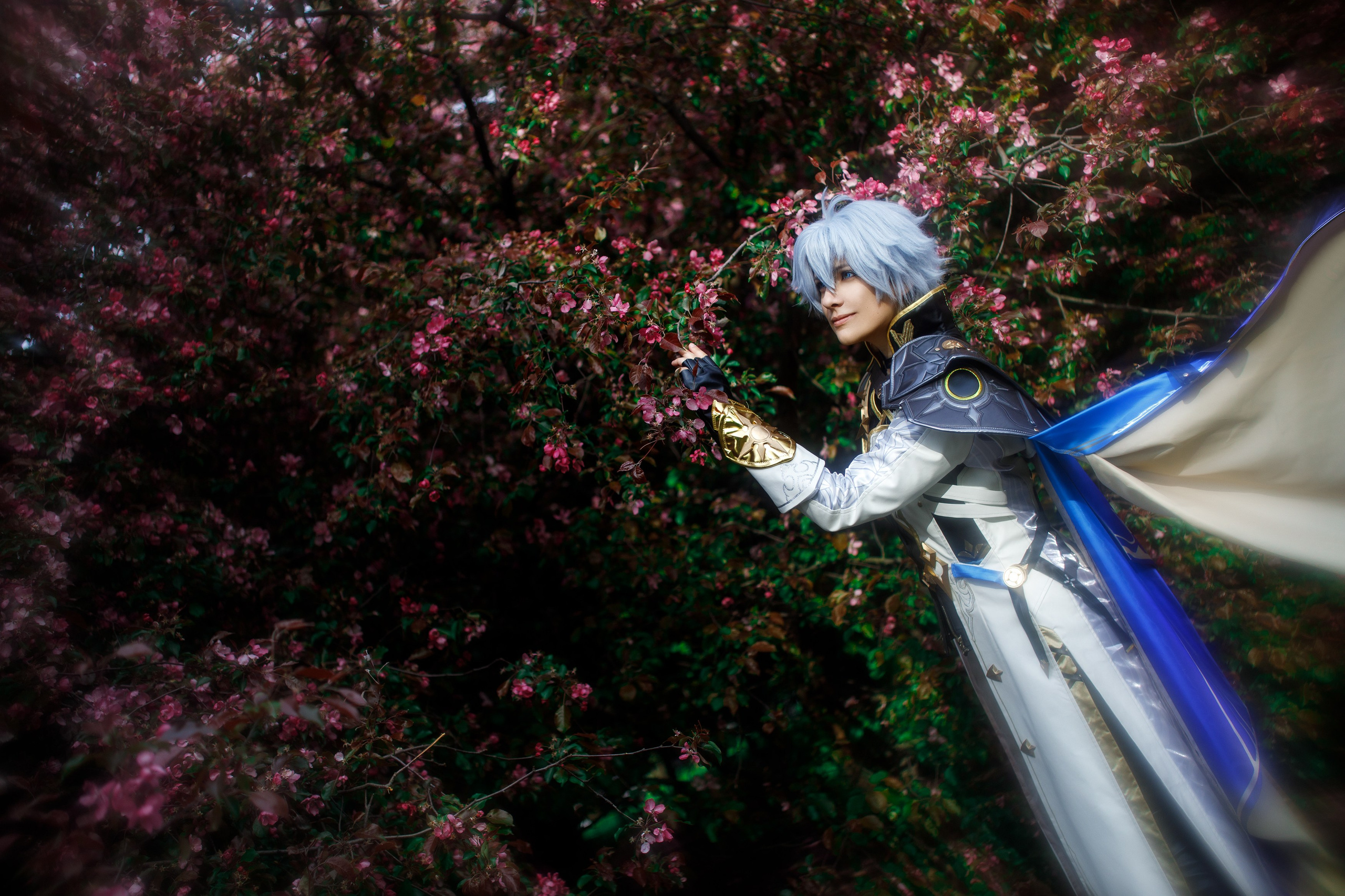 HSR: Phainon. Polaroud love