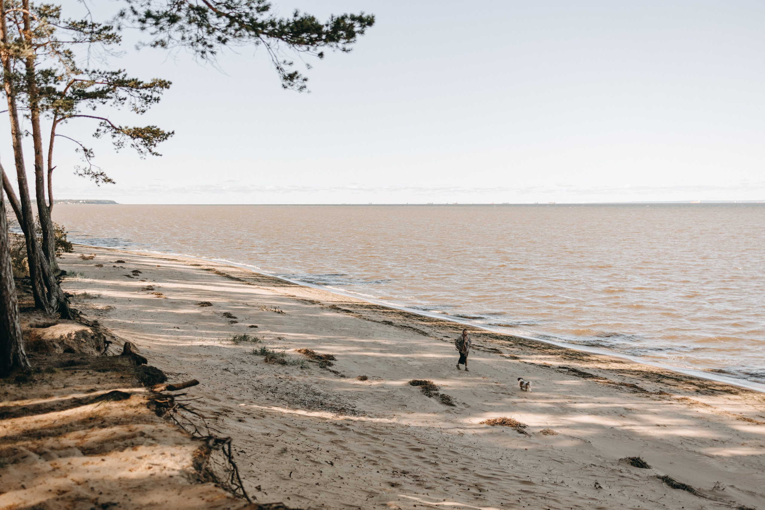 Настя и Франт. Фотограф — Анималист | Санкт-Петербург