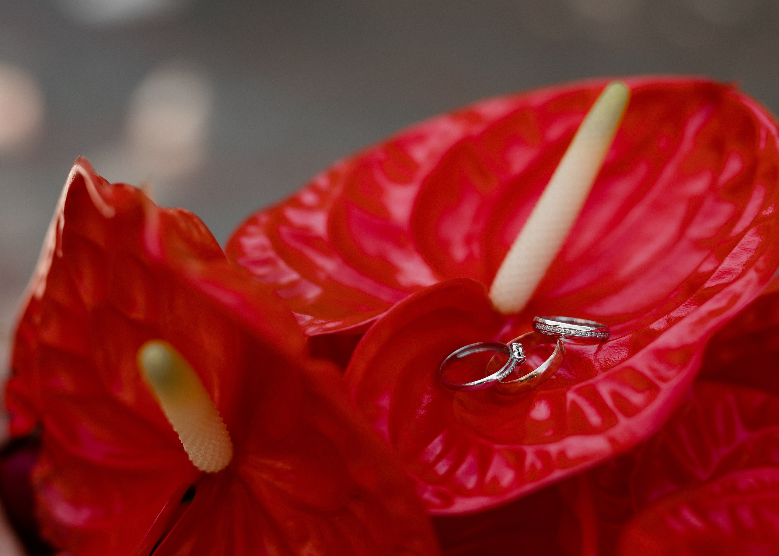 Эля + Тимур. Свадебный и семейный фотограф в Саратове Маша Паника