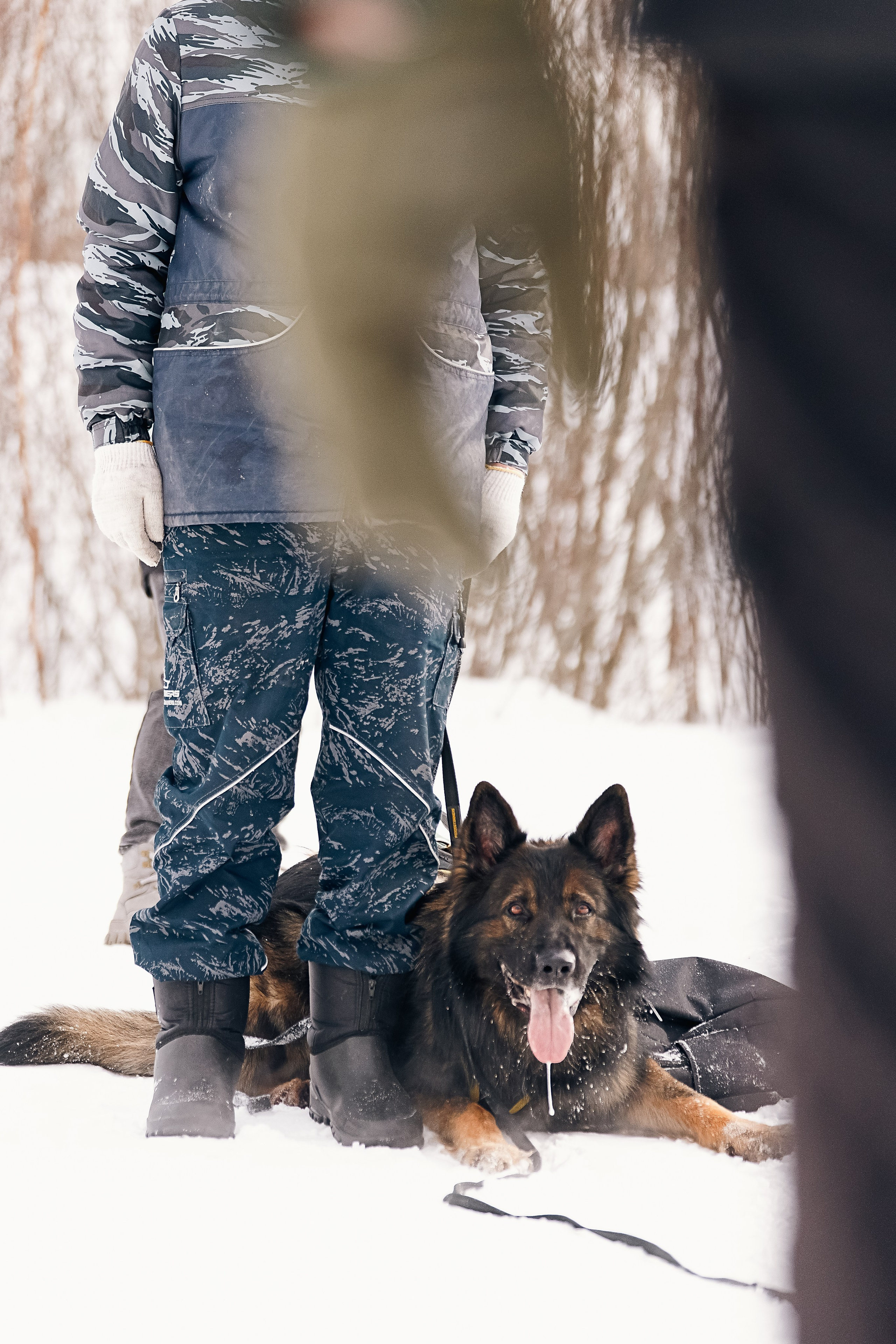 Репортажная съемка. Фотограф-анималист Нижний Новгород