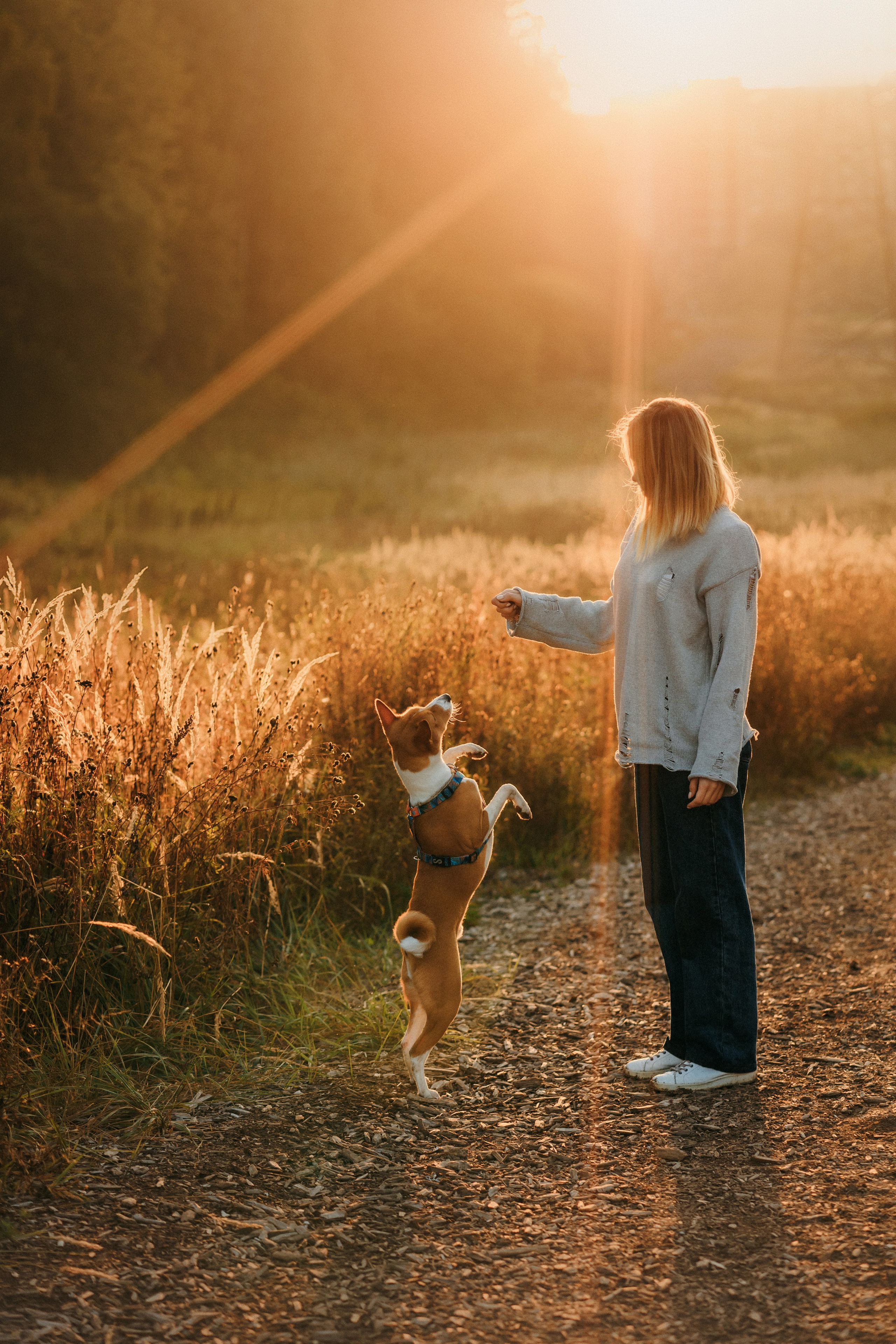 Лена и Джин. Фотограф-анималист Елена Радченко, Москва