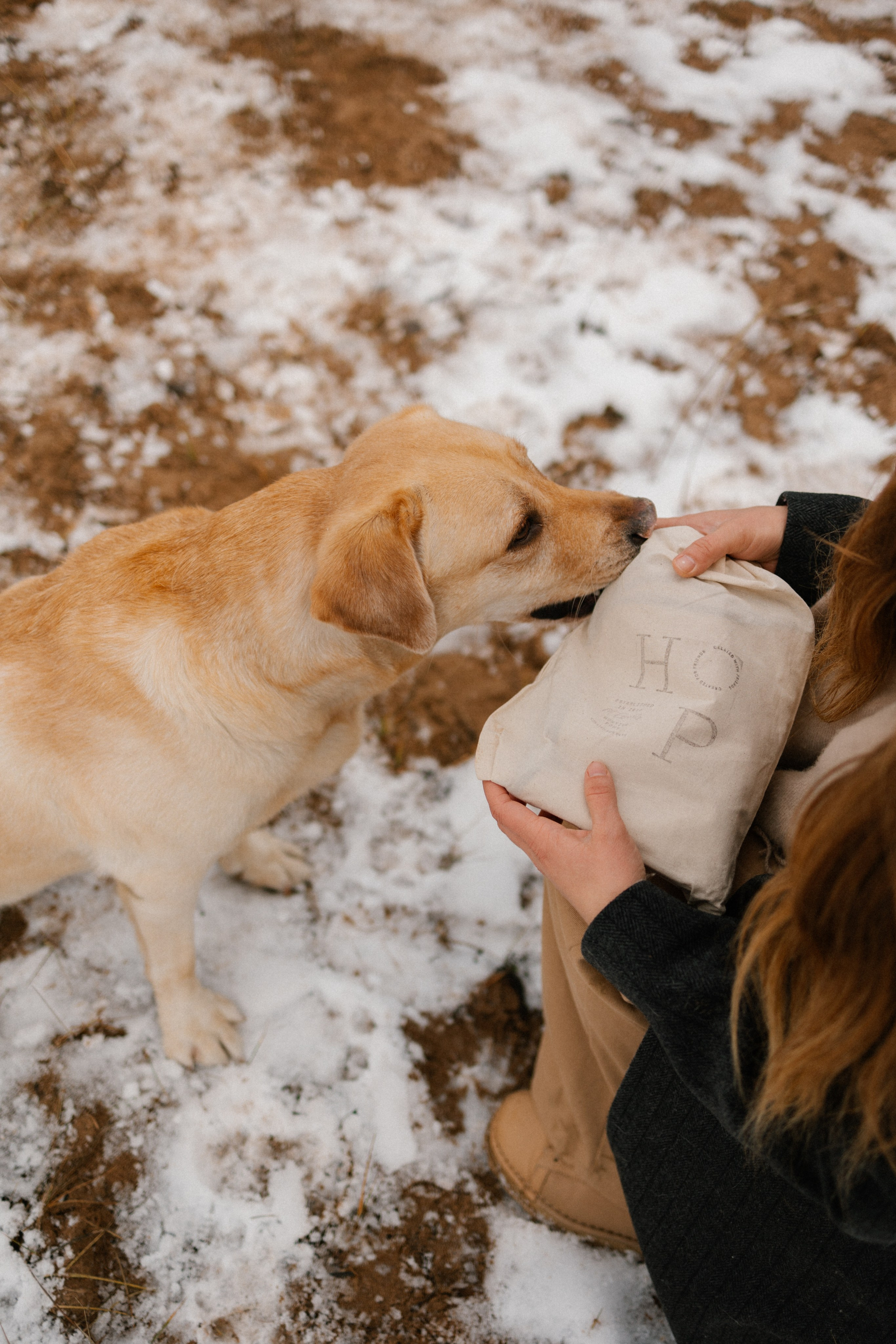 Ирина и Бася. Фотограф — Анималист | Санкт-Петербург