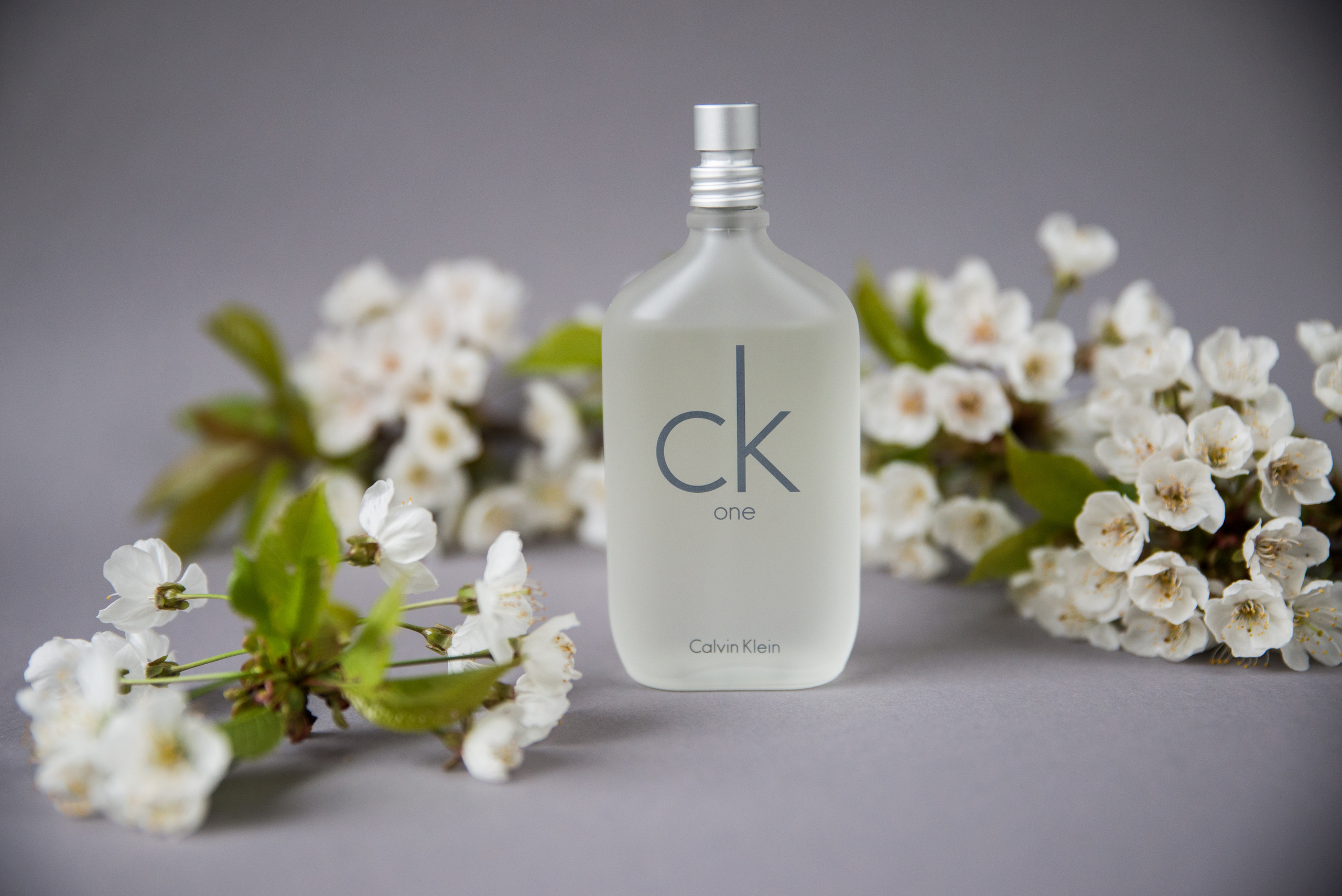 Produktfotos /Geschäft. Euere Fotografin in Dresden