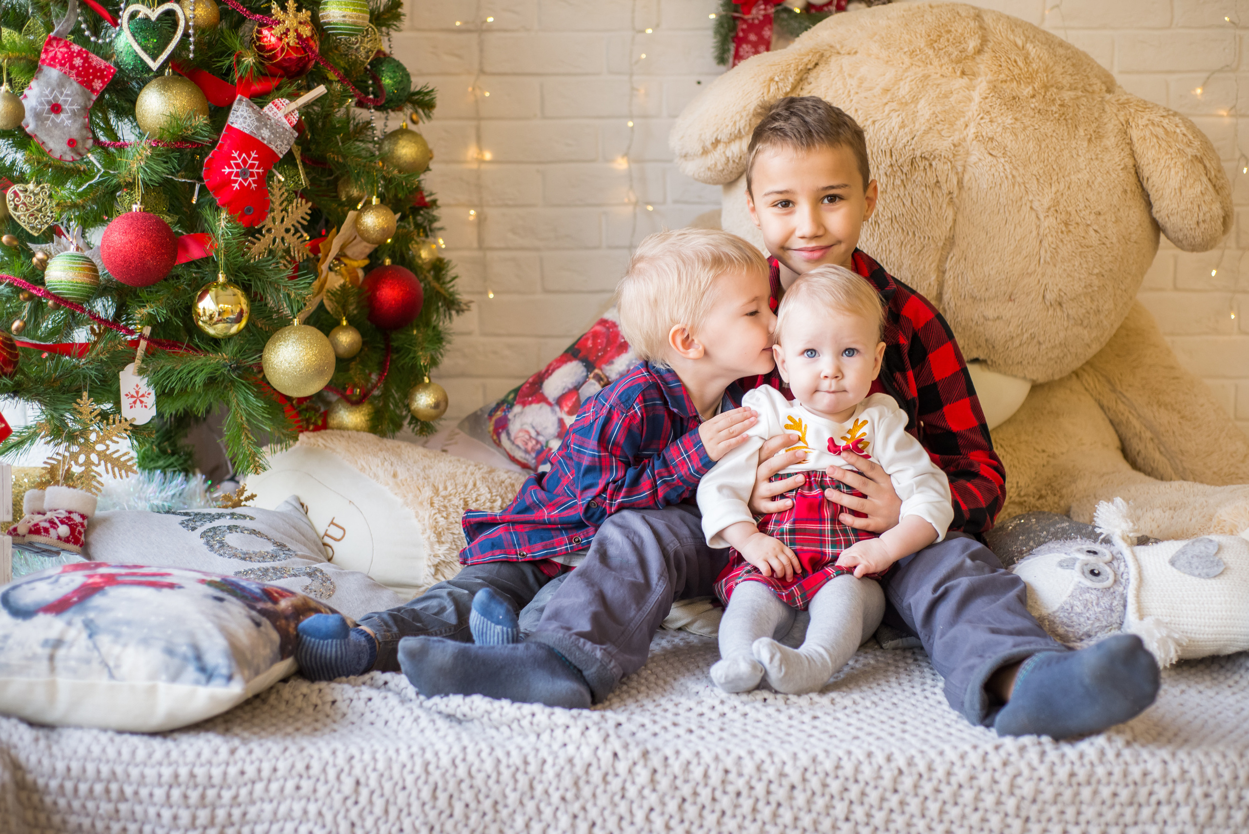 Your Photographer in Dresden