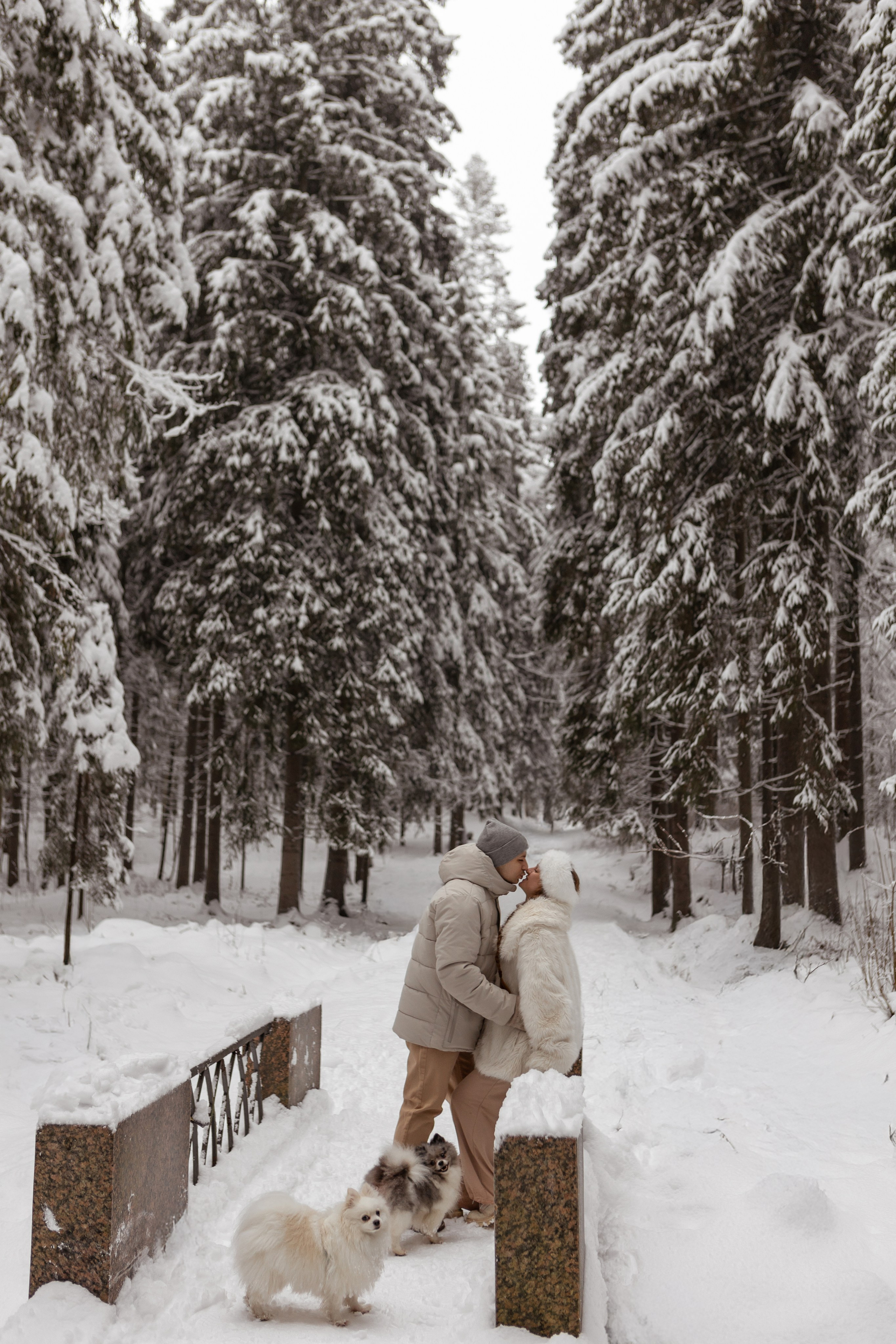 Новогодняя фотосессия с собачками в шуваловском парке. Свадебный фотограф в СПБ | Санкт-Петербурге Анастасия Рахимгулова