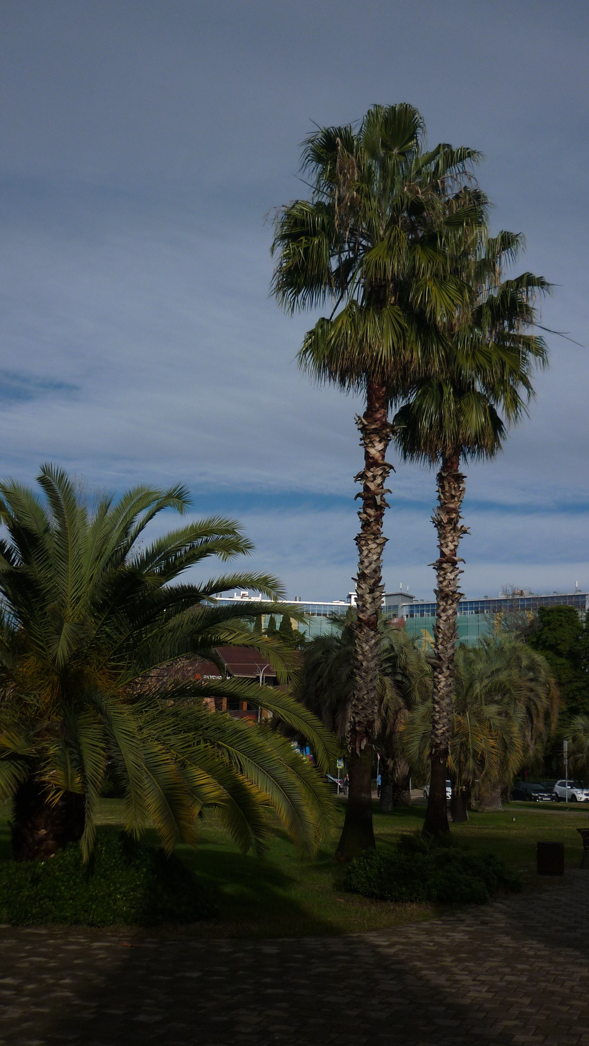 Фотографии Сочи, глазами гида-фотографа. Фотограф в Сочи Елена Лисотина. Фототуры в Сочи