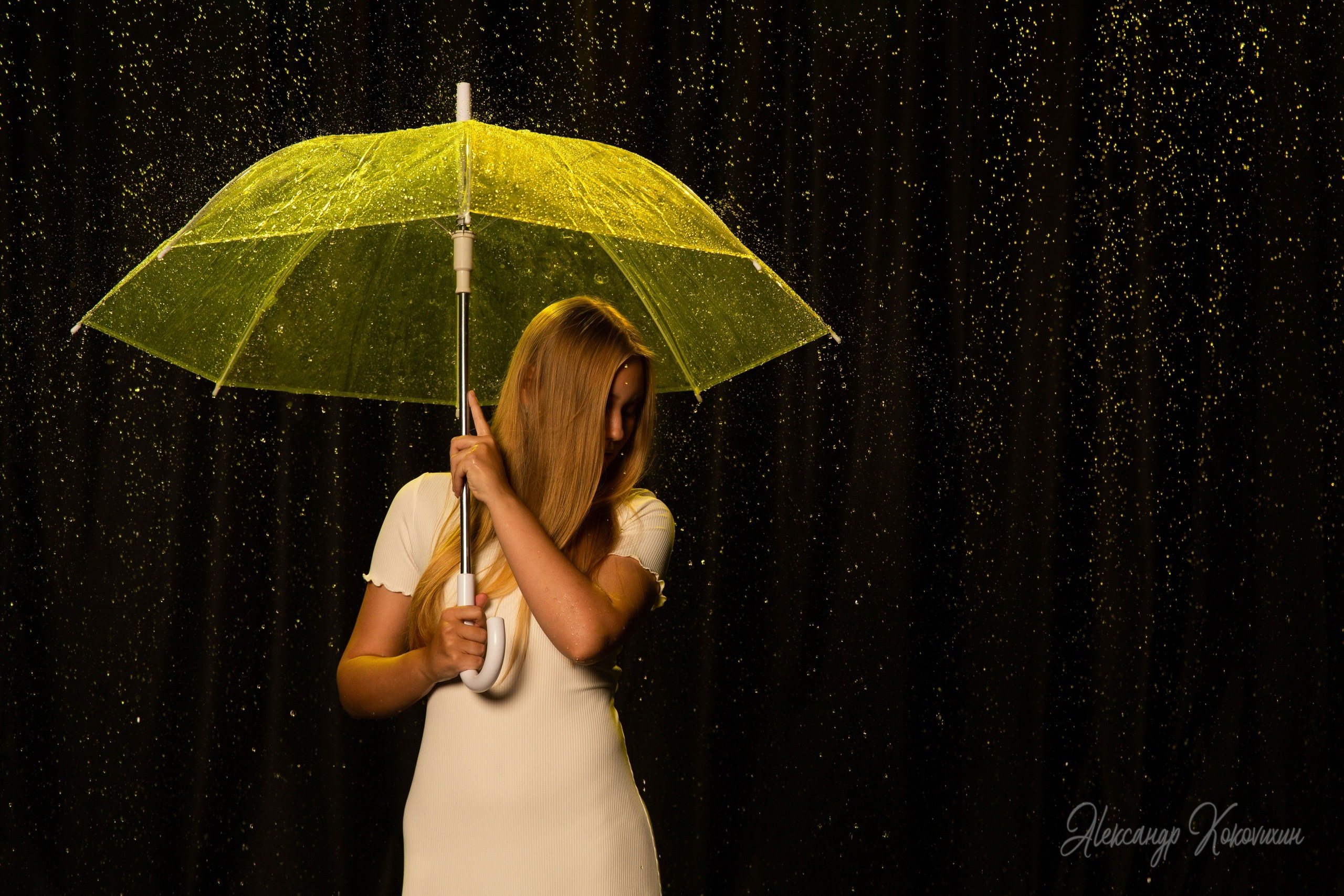 Женский индивидуальный портрет. Фотограф Александр Коковихин