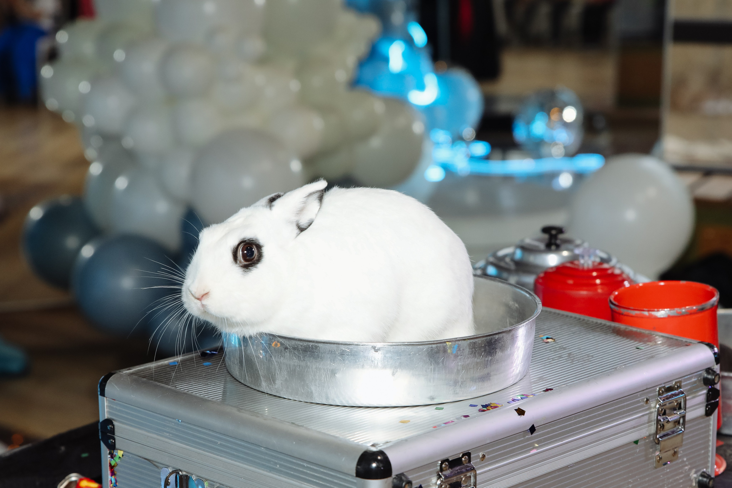 Амелии 8 лет. Фотограф в Москве Яна Полосина