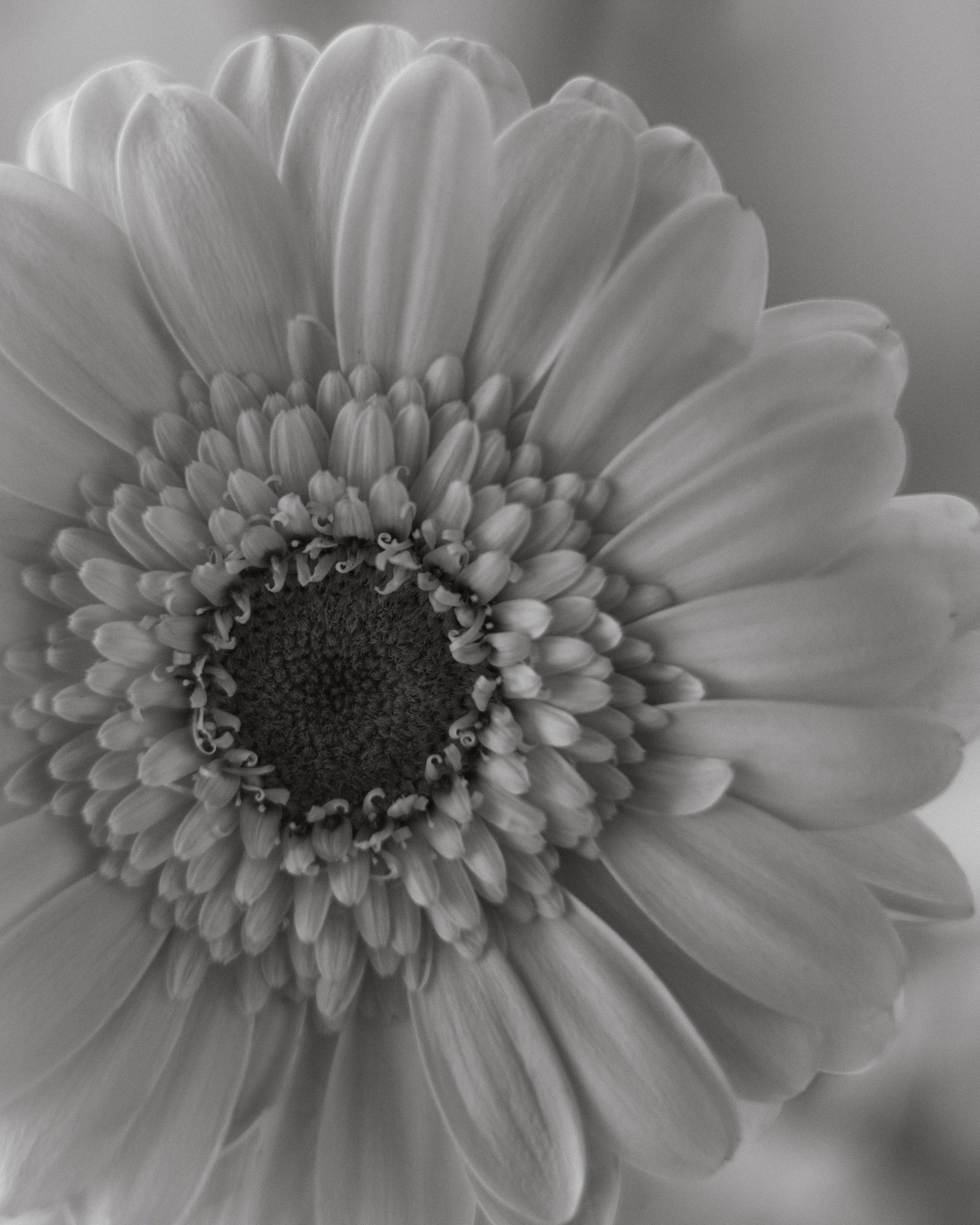 Valery & anna. Александра Акжигитова I Фотограф Волгоград