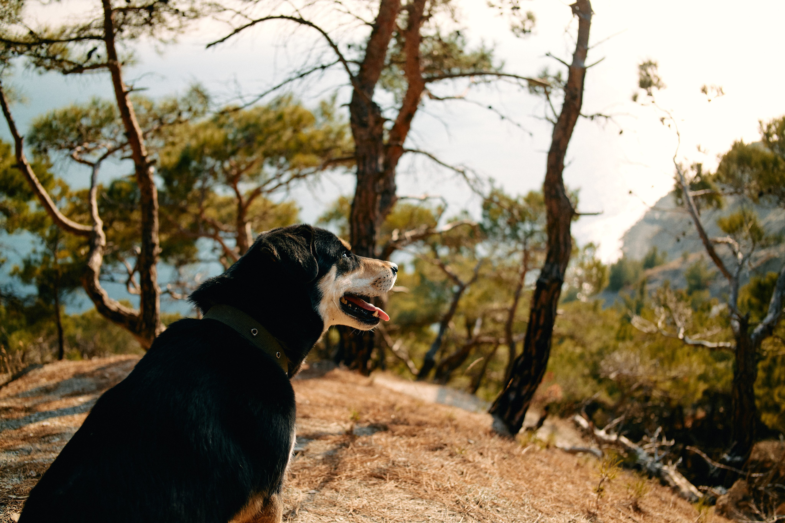 Юг России. Профессиональный Фотограф во Владимире, в Москве и в Суздале — Полина Романычева