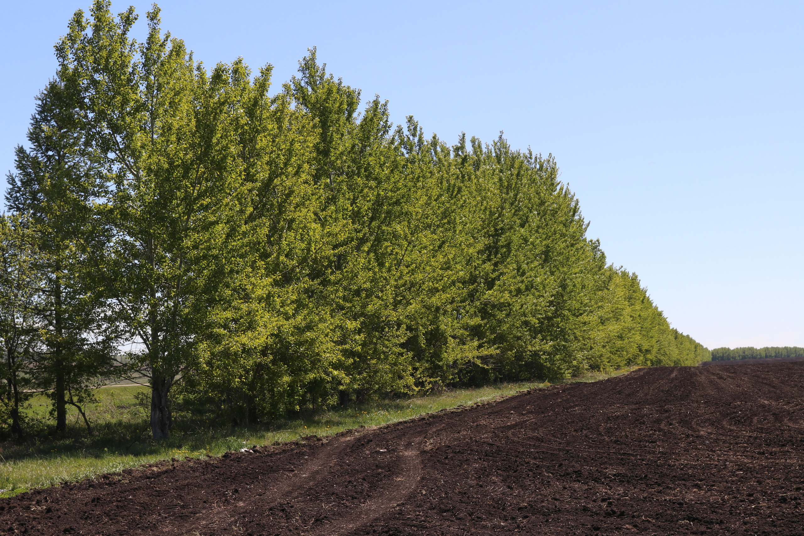 Велопоход Уфа — Мелеуз. Май 2024. Путешественник-фотограф из Санкт-Петербурга Татьяна Свистулина