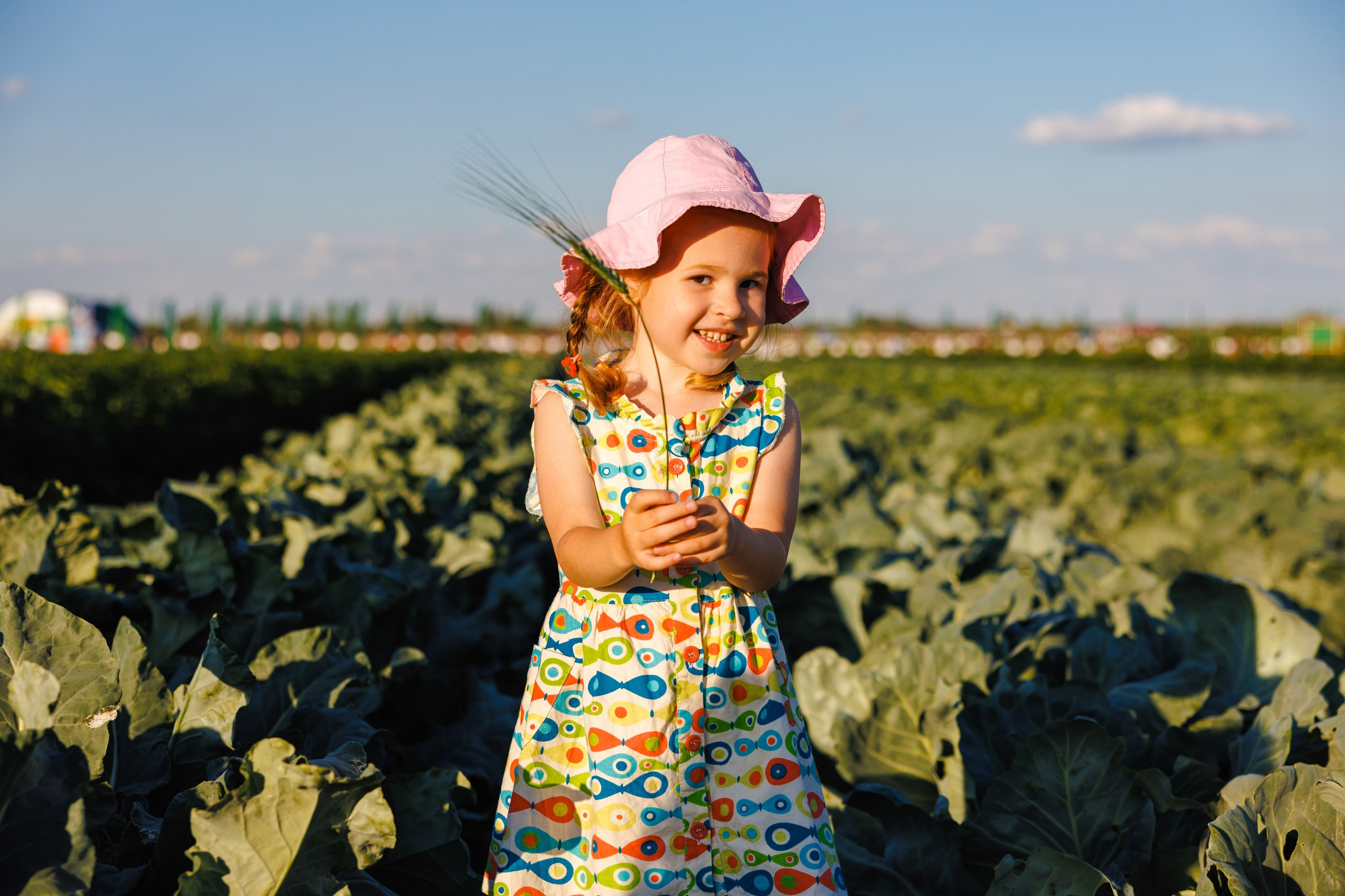 День Поля 2025 Волгоград. Фотограф Ставрополь Петр Голубенко
