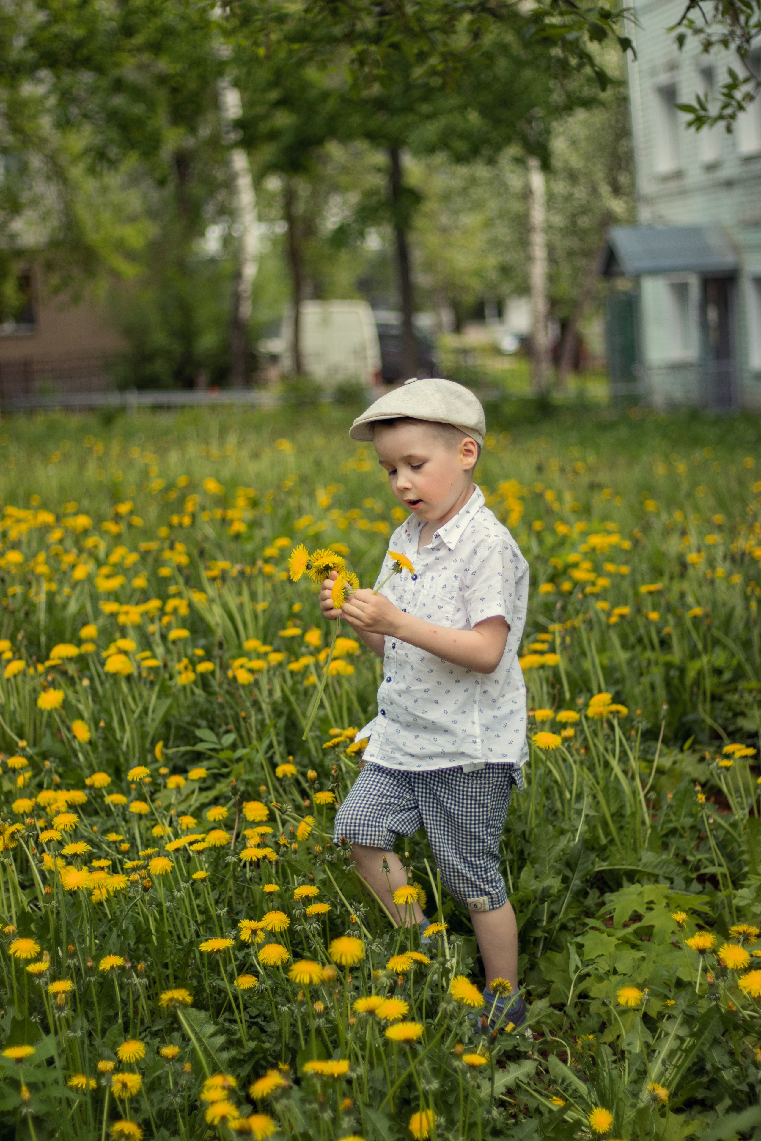 Одуванчиковое настроение