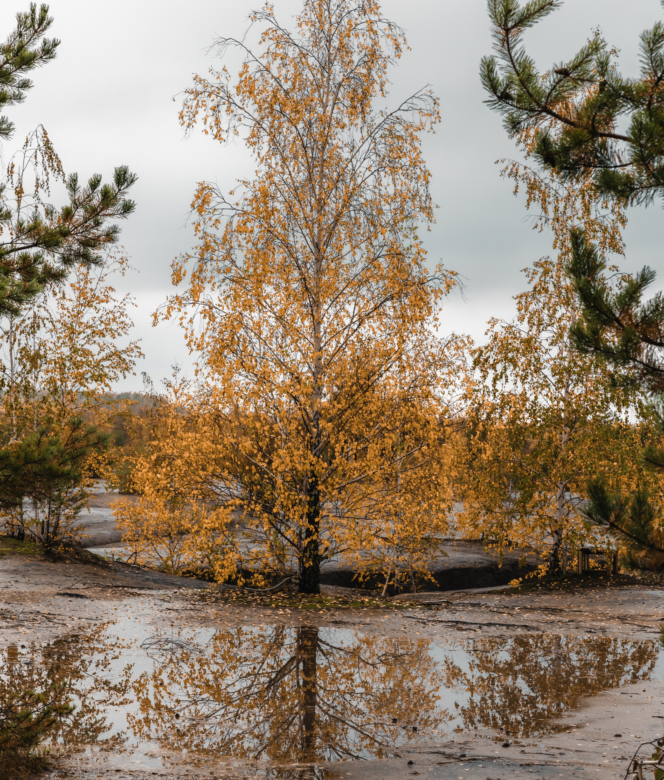 Кондуки. Октябрь 2023. Фотографии