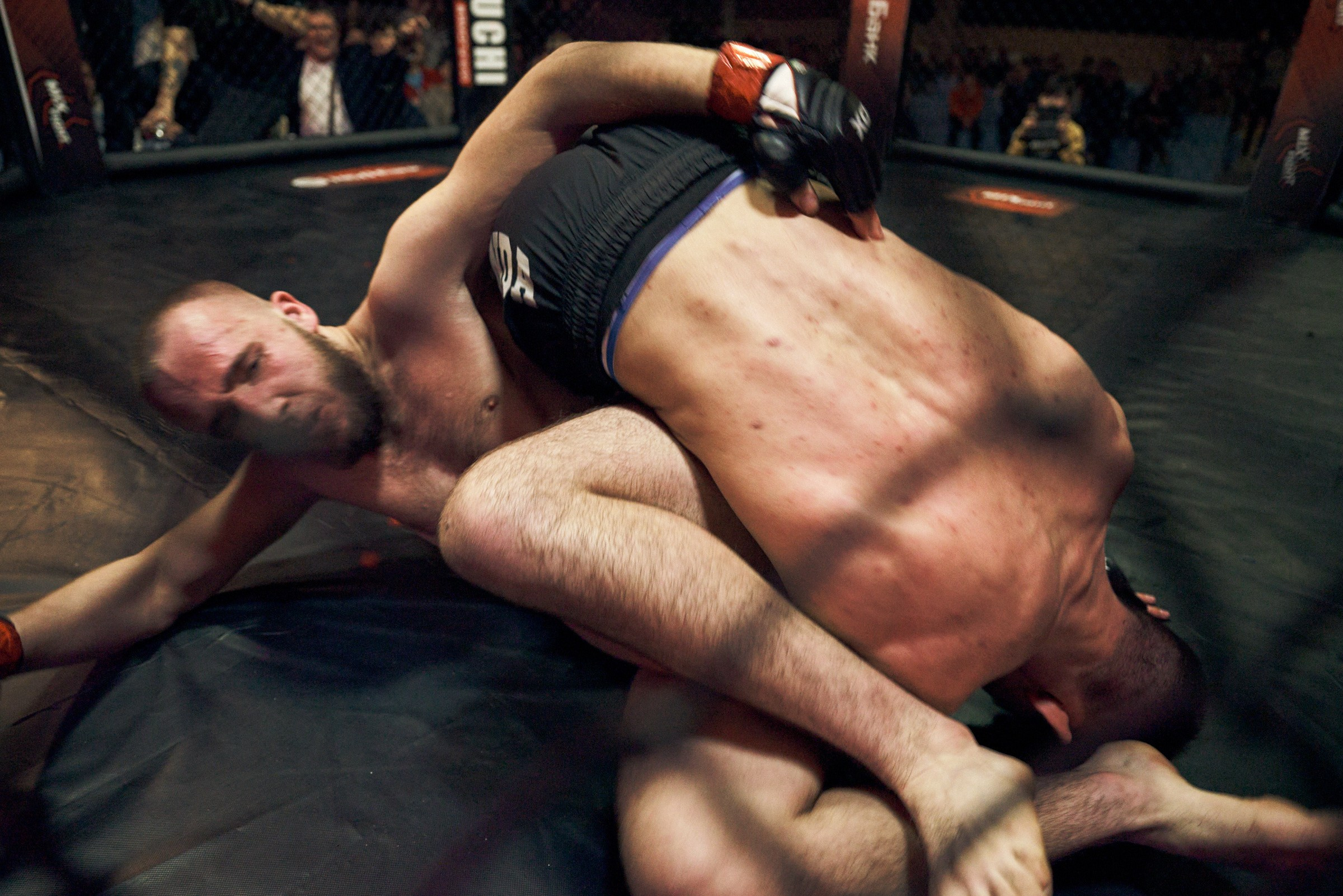 Бои. Маляревич Дмитрий свадебный фотограф