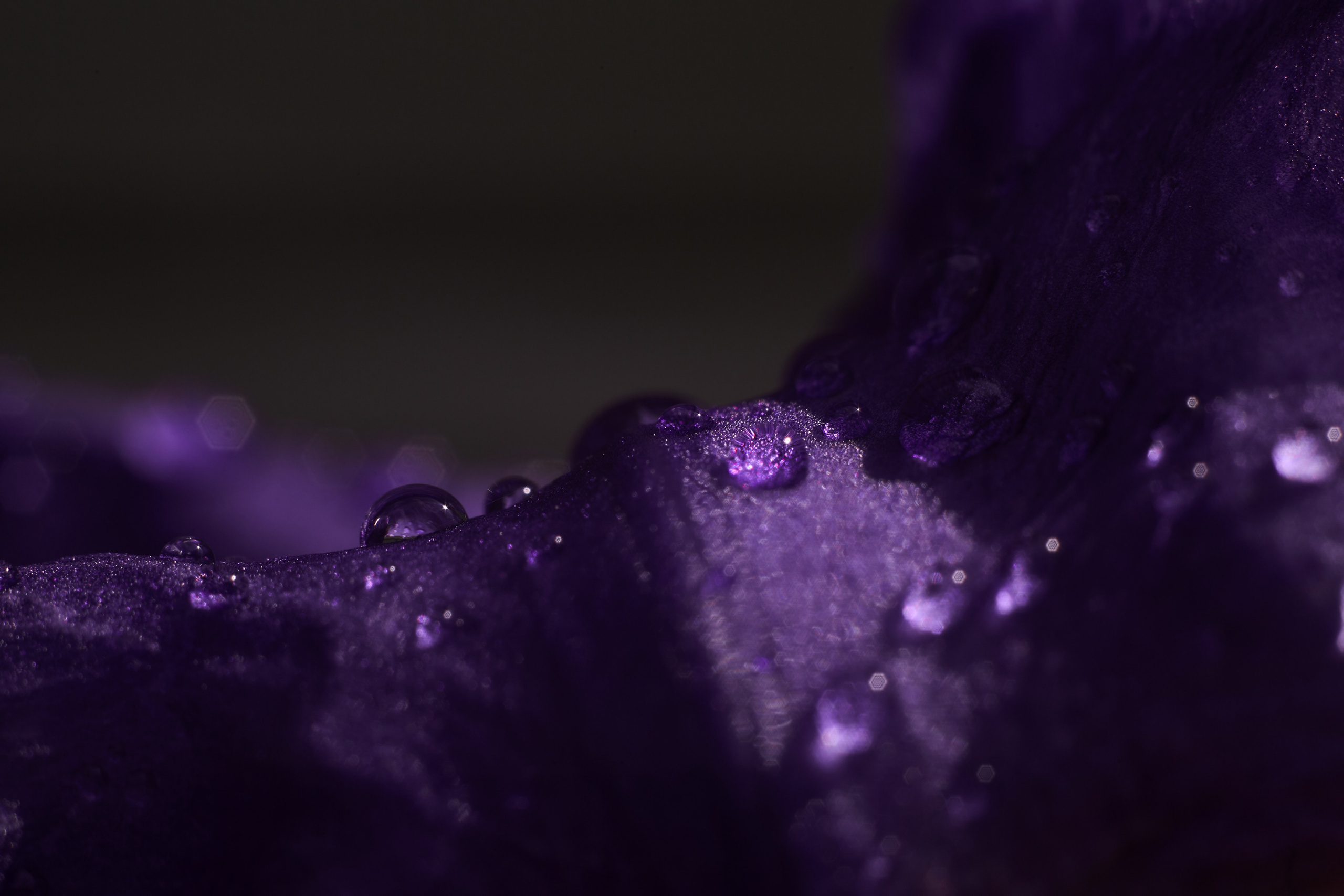 Art пейзаж. Фотограф Анастасия Федорова  Санкт-Петербург