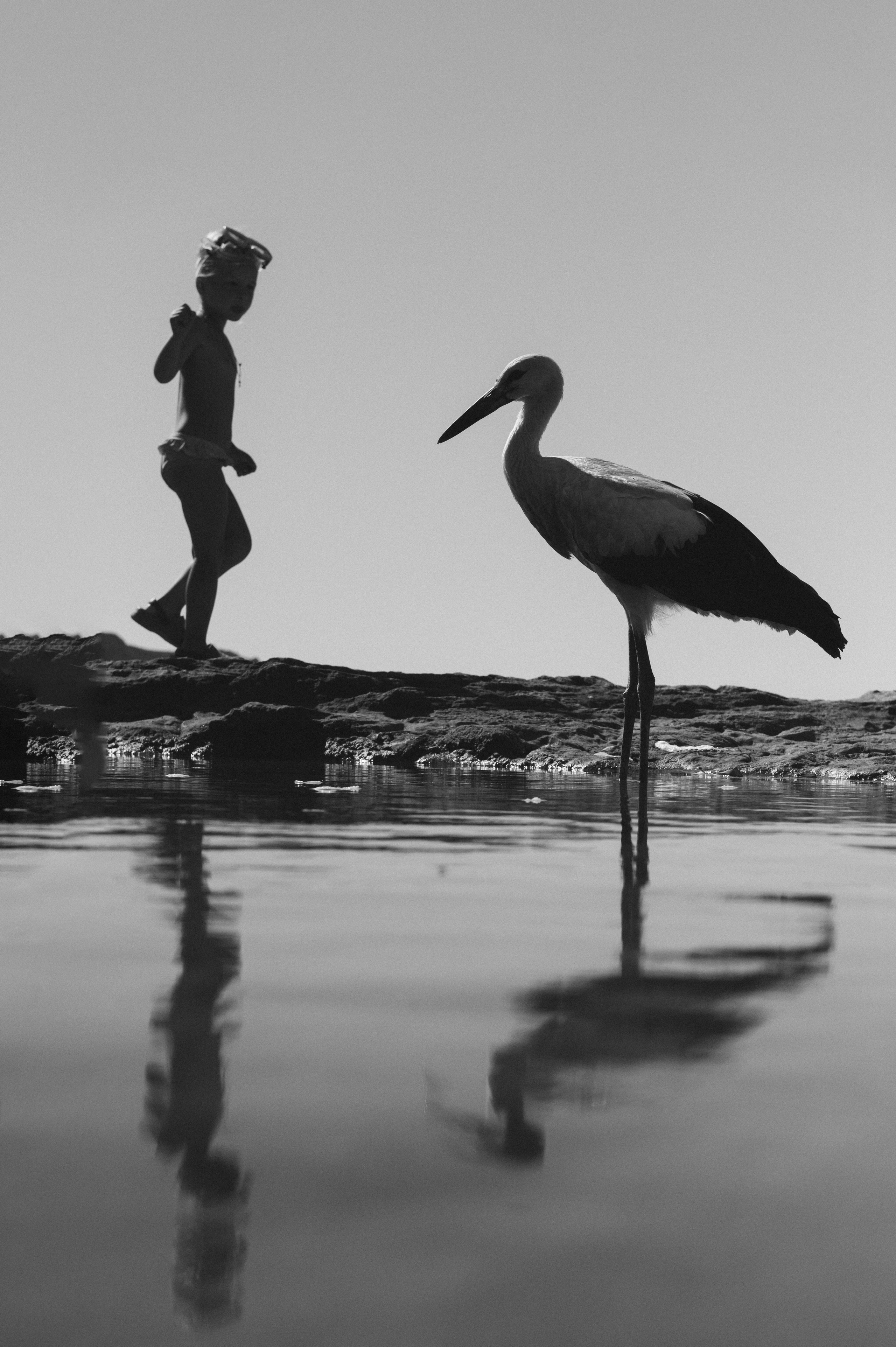 Стрит. Фотограф Алексей Шрайбик