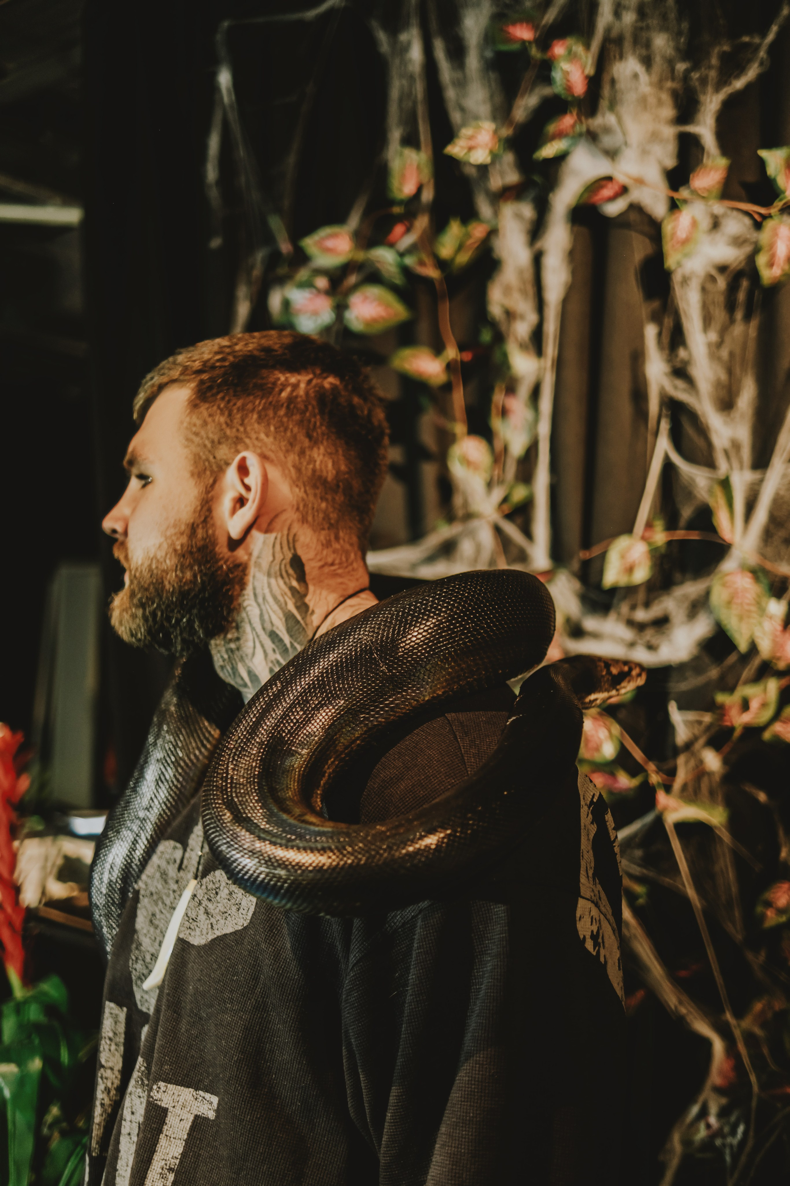 Дом Драконов. Nattie.ph