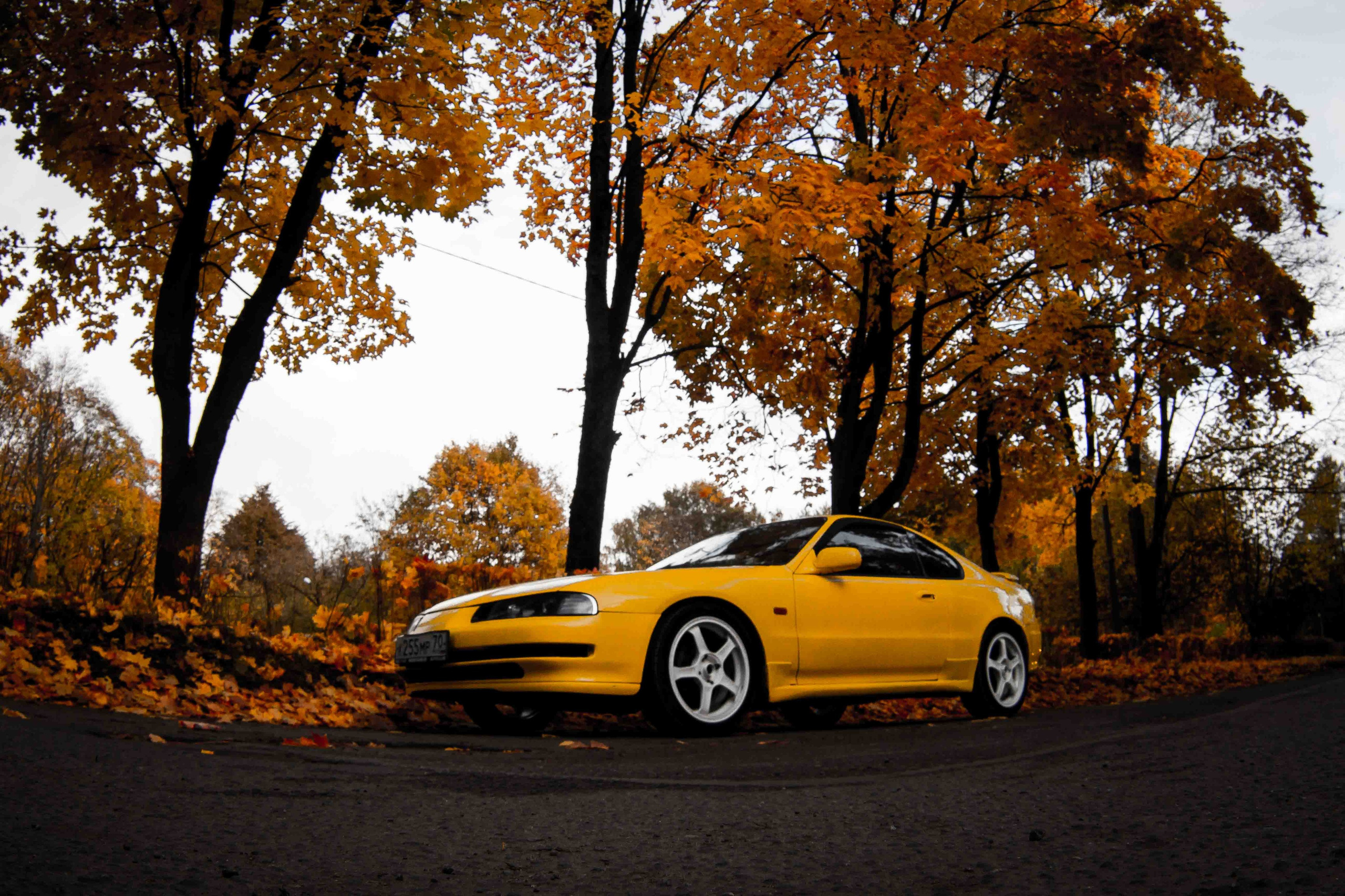 Осеннее настроение. Александр Попов