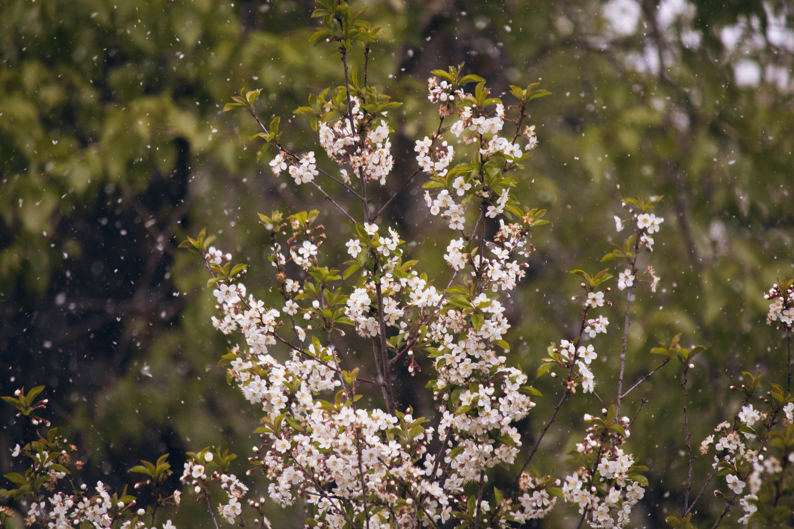 Сокольская гора. Фотограф и видеограф в Бугульме Аня Трутнева