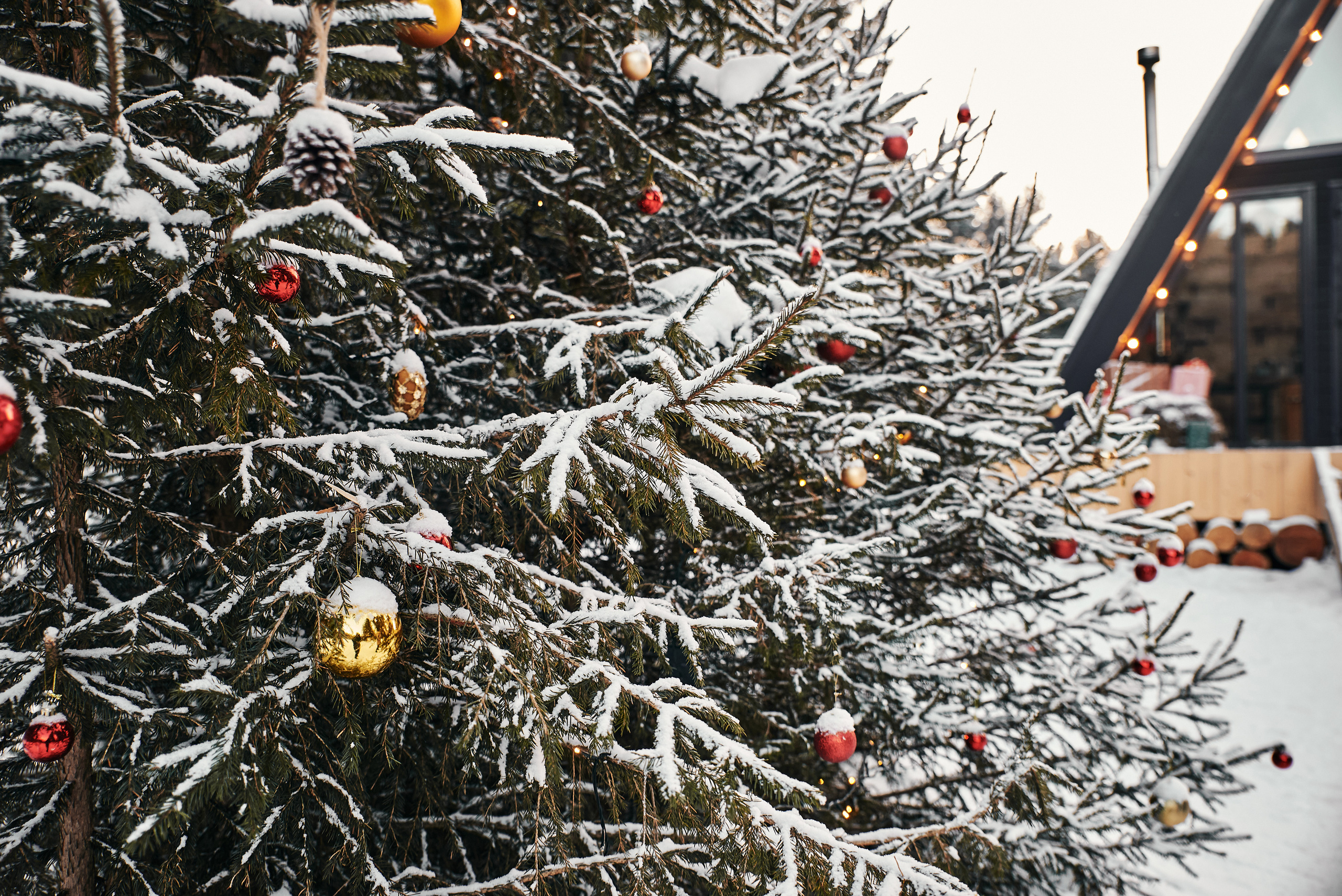 Наряженная елка на улице