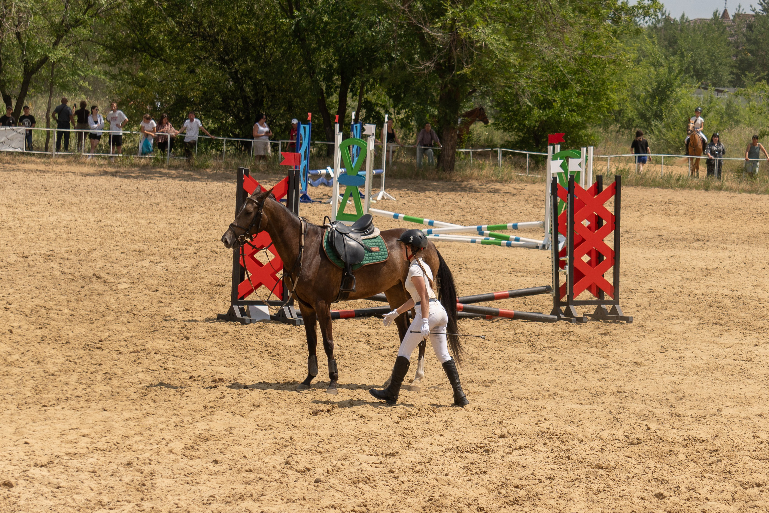 Соревнования по конкуру, Луганск. Фотограф в РФ и ЛНР Юлия Федосеева