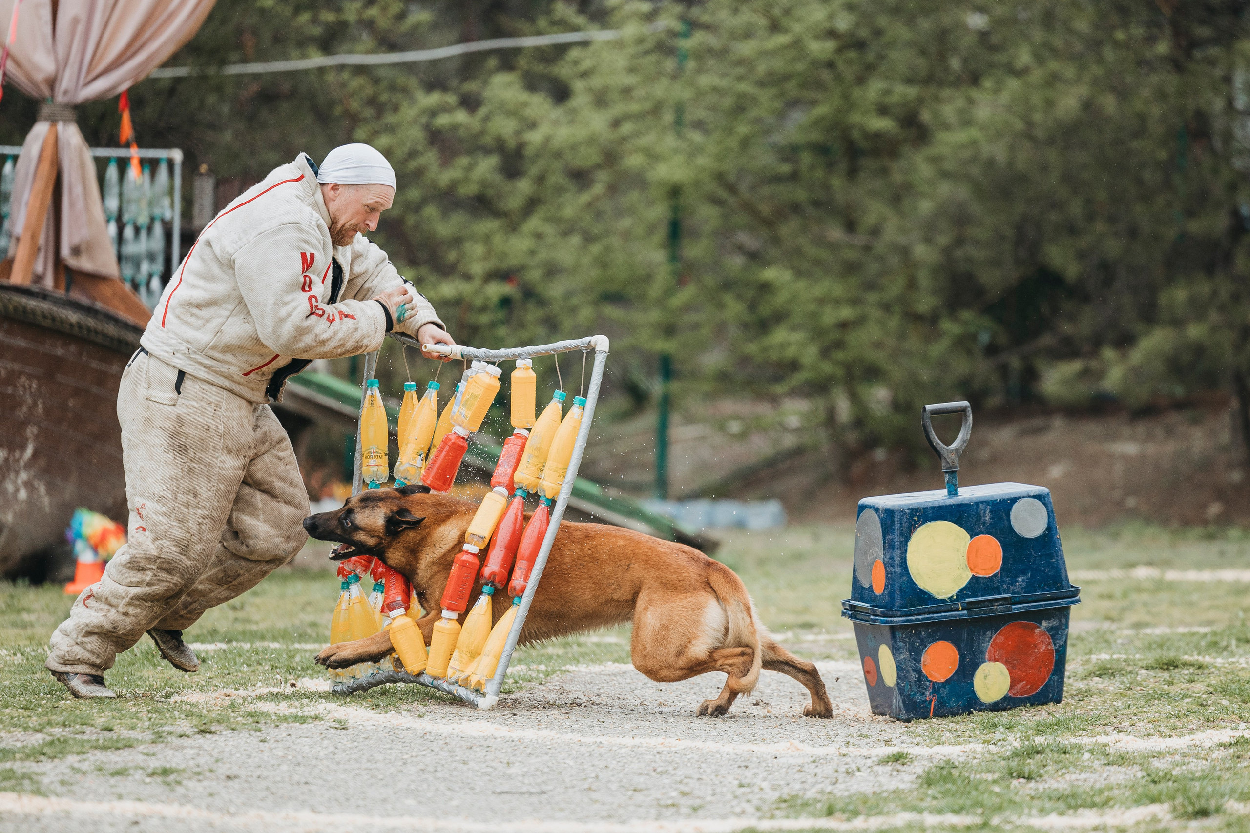 Геленджик Мондьоринг. Фотограф-анималист Анна Маринич