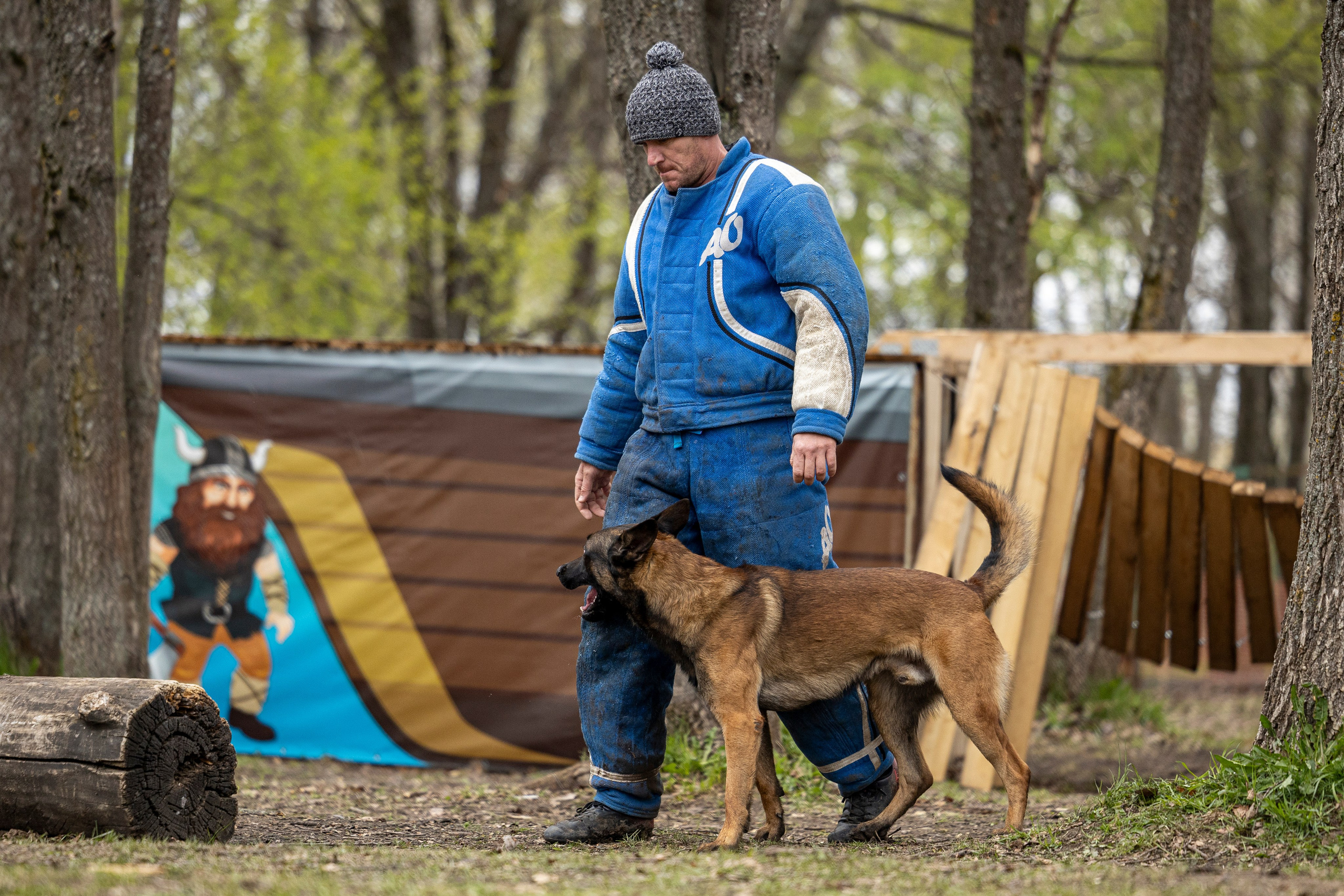 Квалификационные состязания по мондьорингу г. Вологда 11.05.24. Фотограф-анималист Анна Маринич