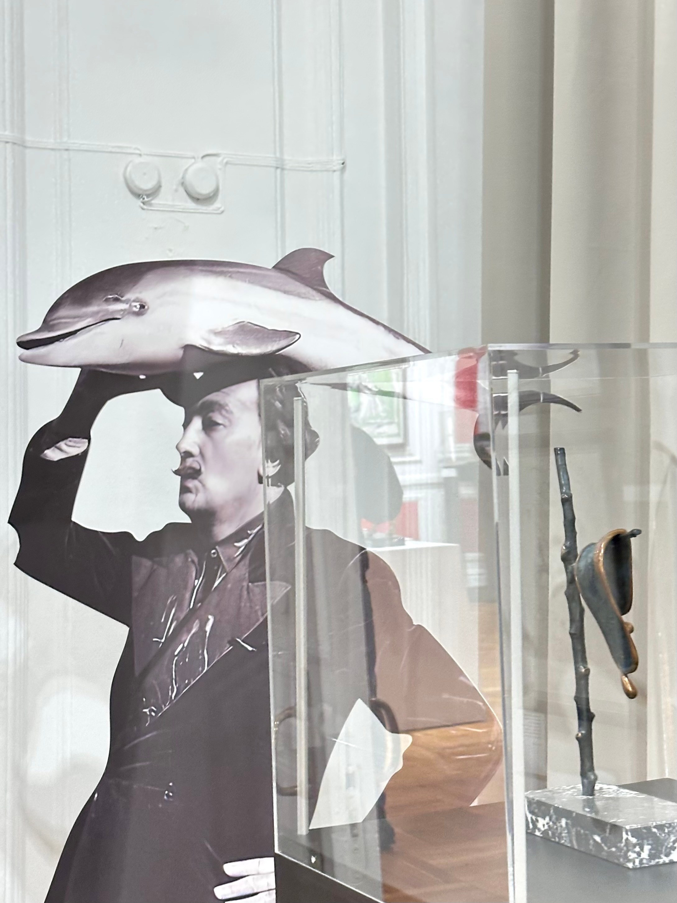 Выставка Дали & Пикассо. Фотосессии и репортаж — Фотограф в Москве — Рина Серёгина