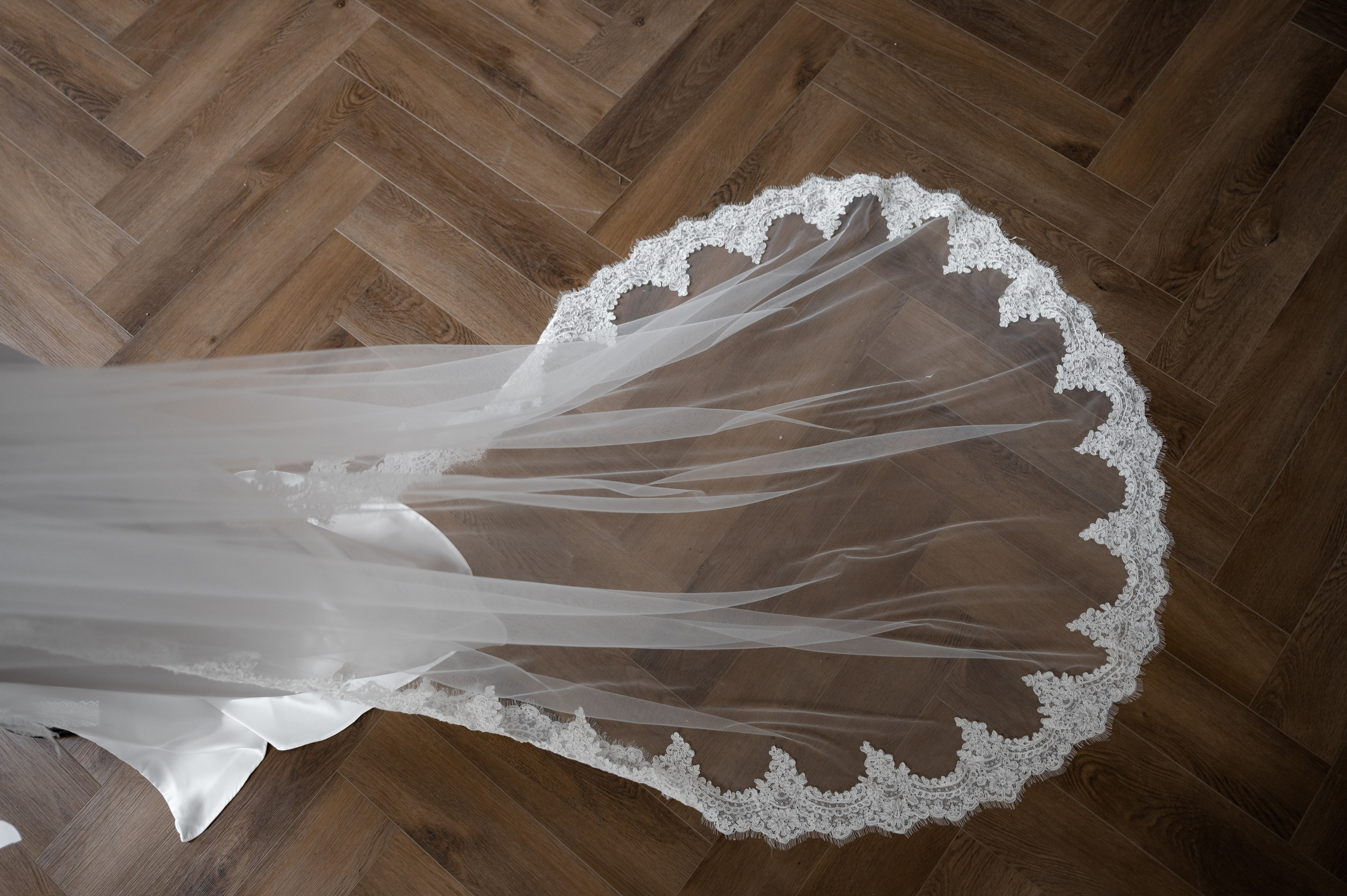 Никита и Алина. Свадебный и портретный фотограф