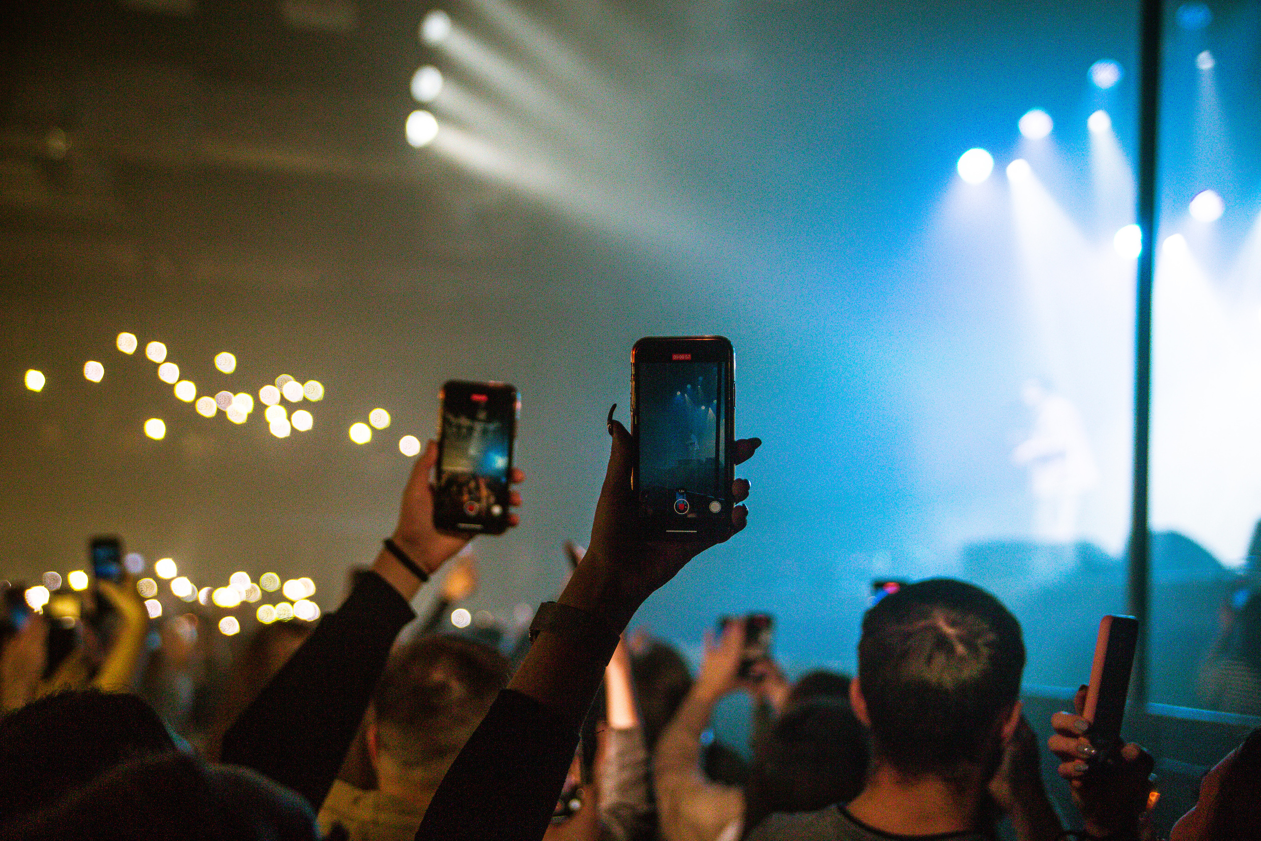 Федук. Фотограф Анастасия Платонова | Санкт-Петербург