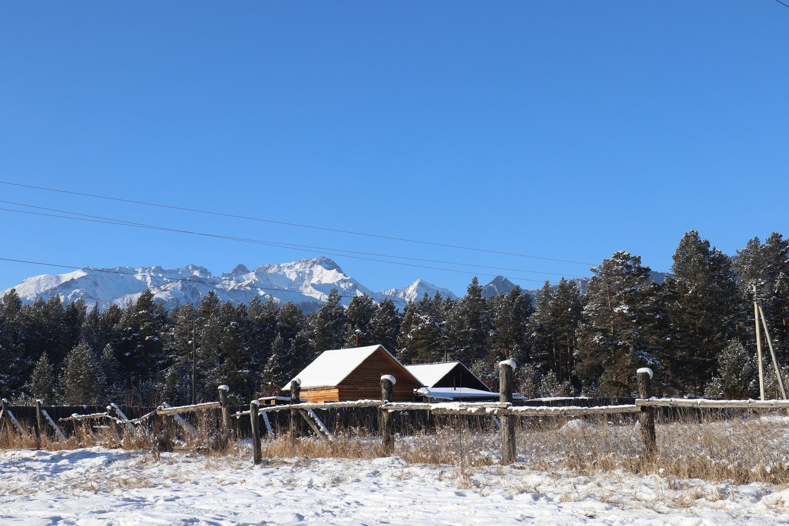 Аршан. Январь 2022. Путешественник-фотограф из Санкт-Петербурга Татьяна Свистулина