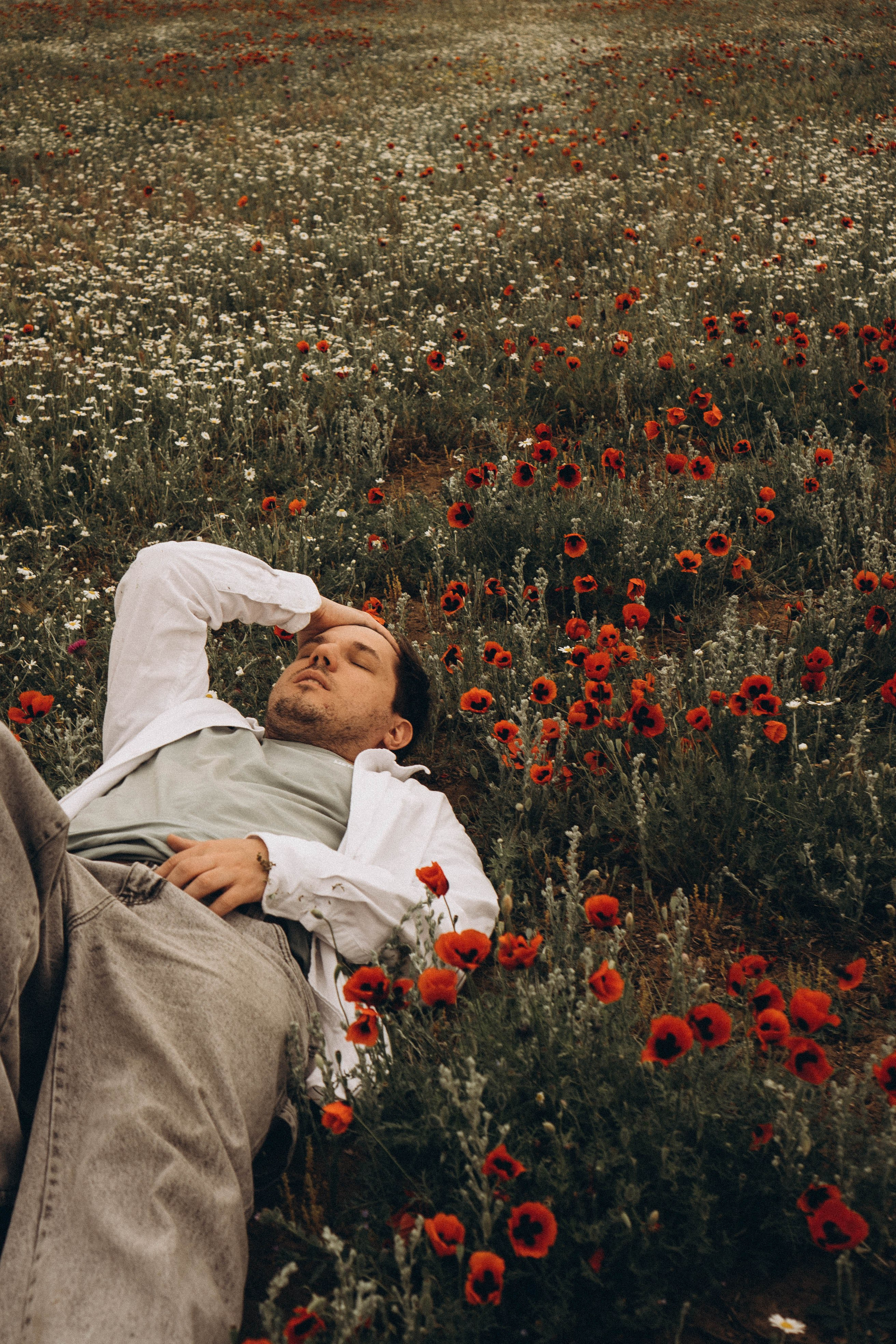 Маки. Профессиональный фотограф, Санкт-Петербург — Виктория Богомолова