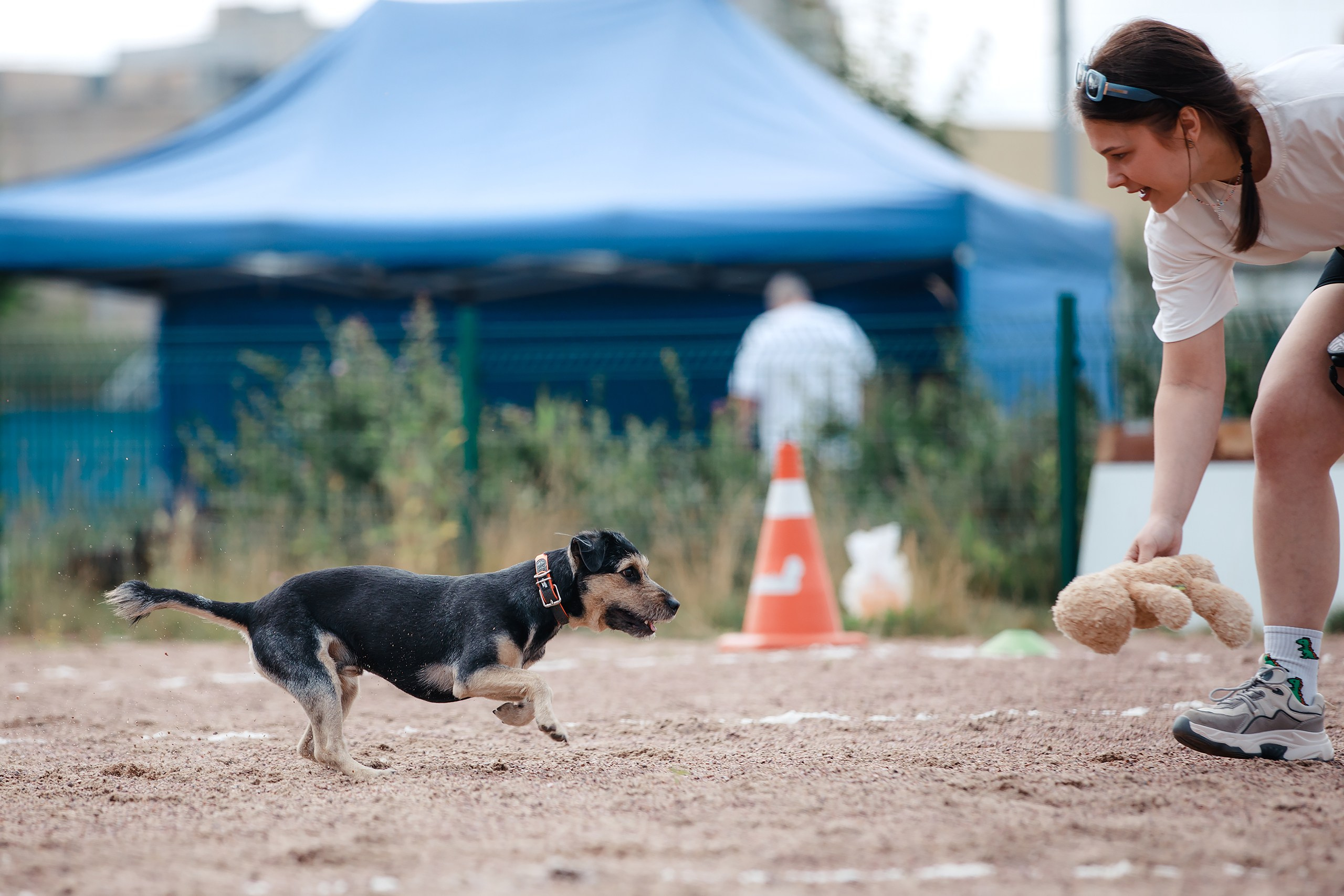 Питч&Гоу + веселые старты. Фотограф-анималист Mary Mart — Москва, Питер