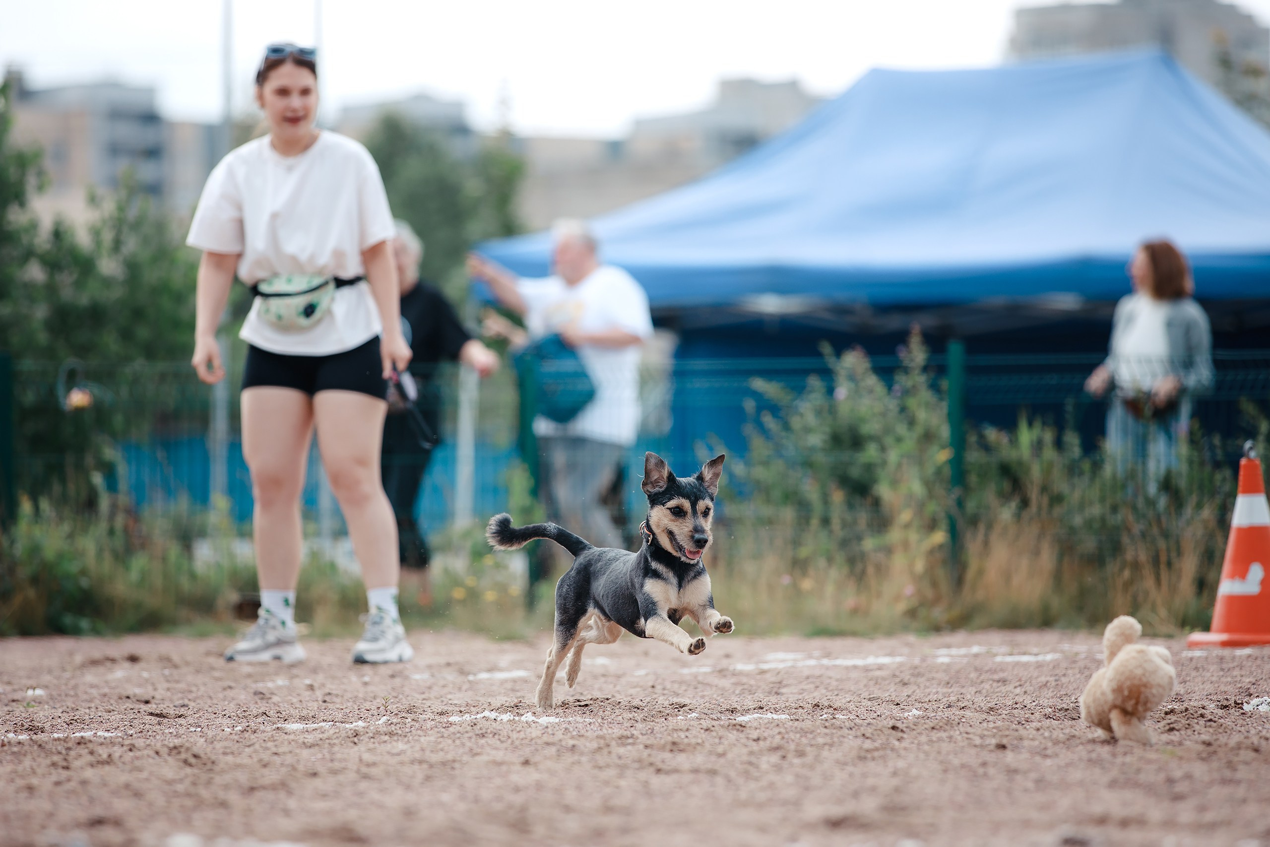 Питч&Гоу + веселые старты. Фотограф-анималист Mary Mart — Москва, Питер